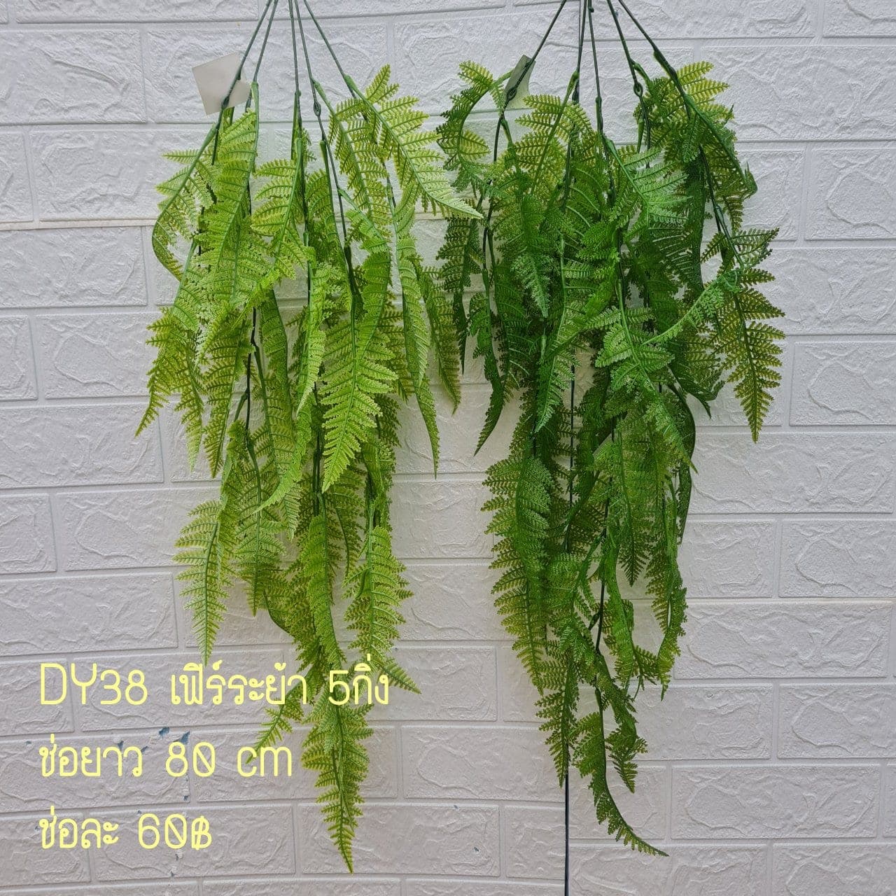 เฟิร์นระย้า (DY38), Fern — fine, frond-edged leaves that read as soft, shaded texture.