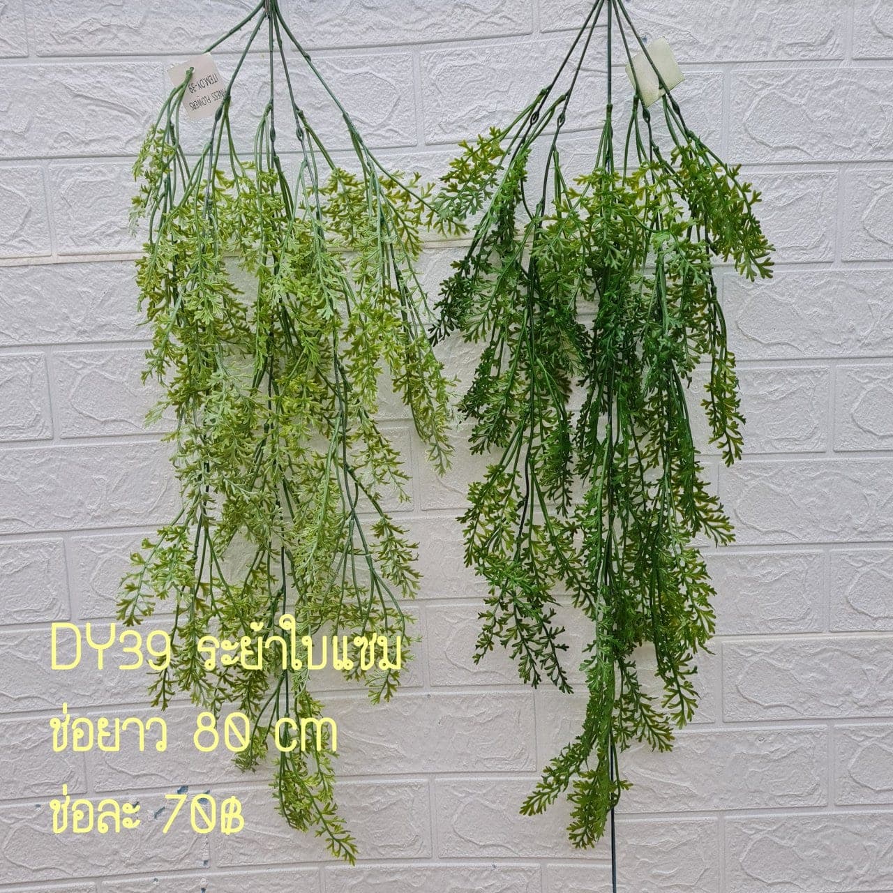ระย้าใบแซม (DY39), Hanging cascade — a curtain-like cascade that adds vertical depth to a room.