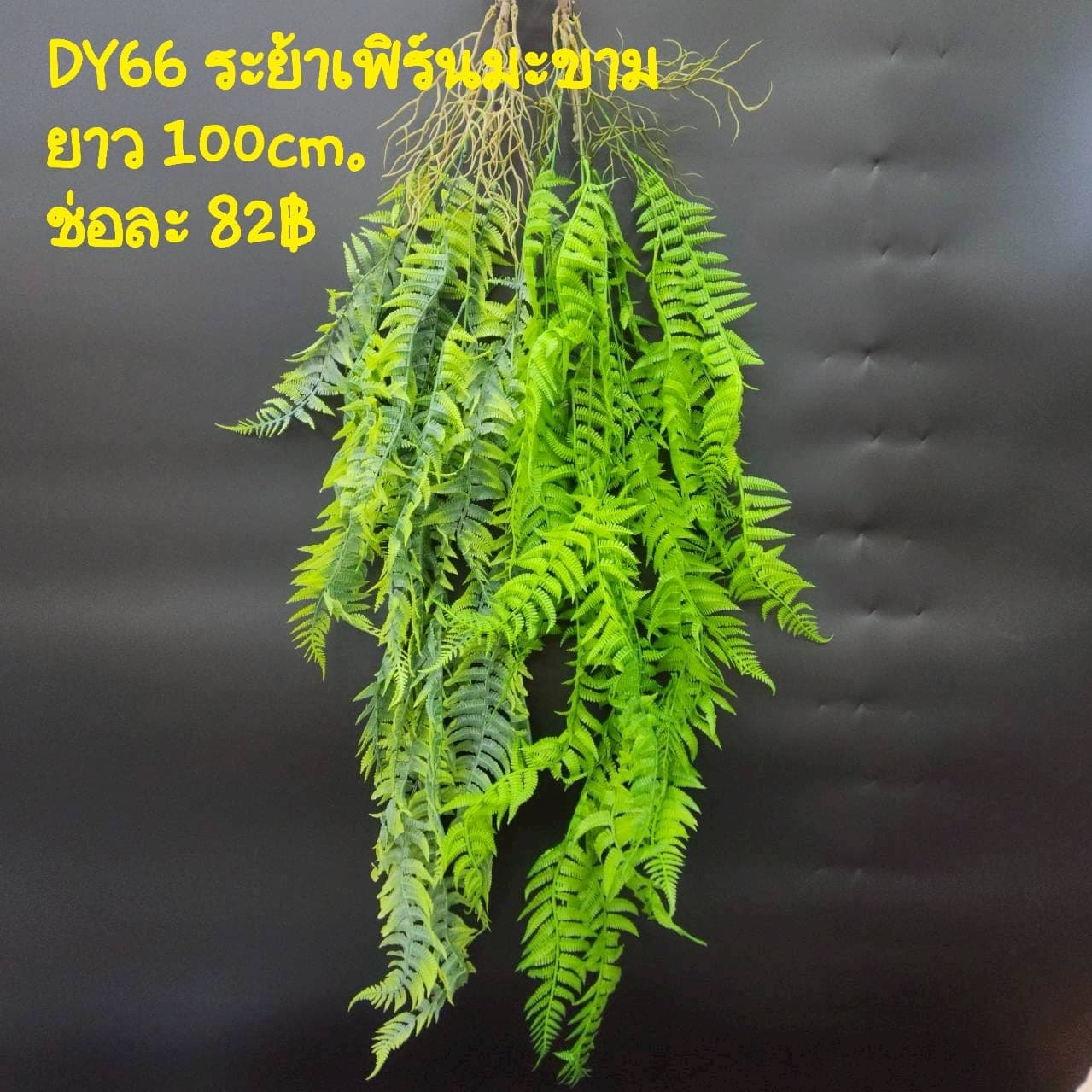 ระย้าเฟิร์นมะขาม (DY66), Fern — long stems with trailing pinnae, ideal for draping over the rim of a vessel.