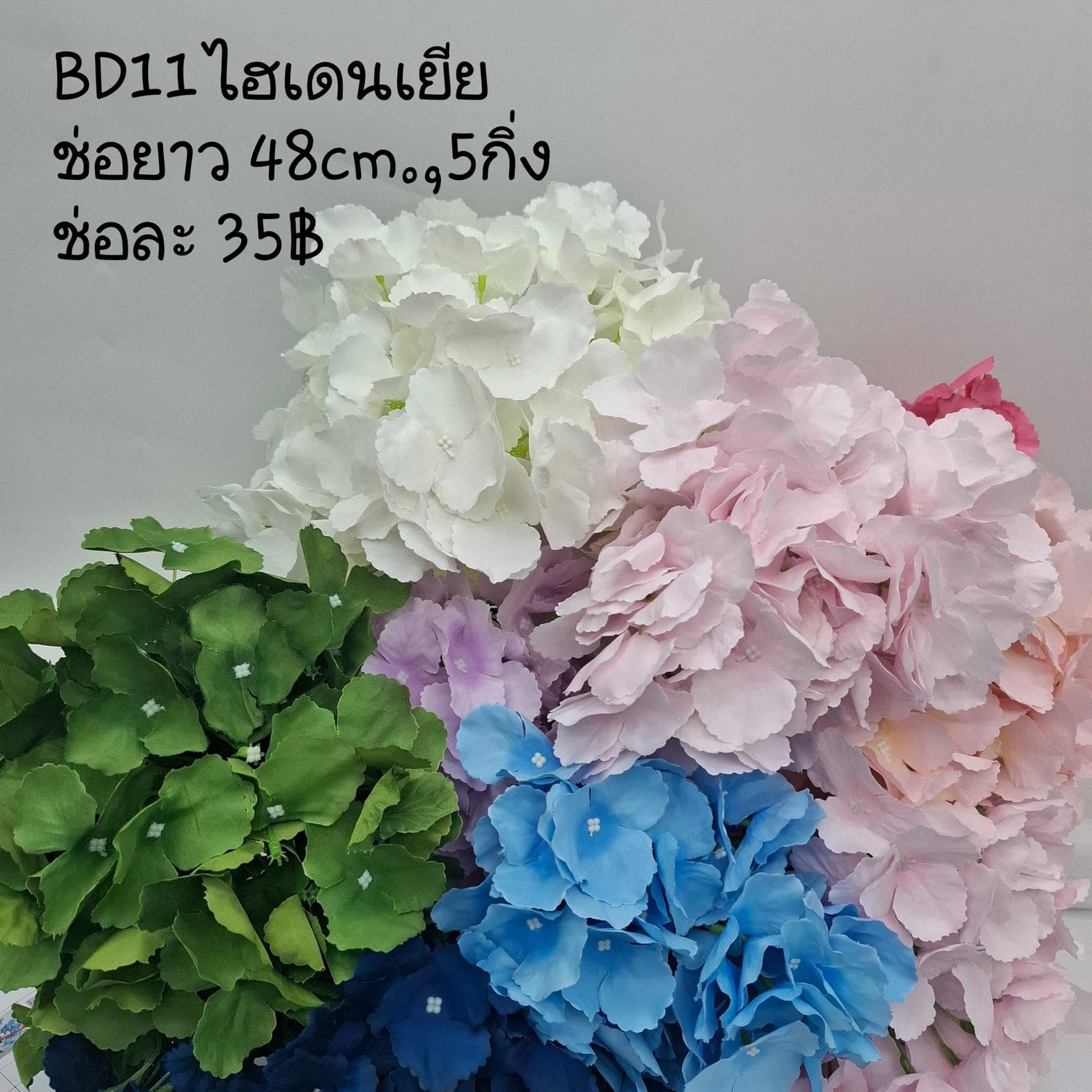 บูเก้ไฮเดนเยียกลีบใหญ่ (BD11), A bouquet of hydrangea — tiny florets clustered into a full, hand-sized globe.