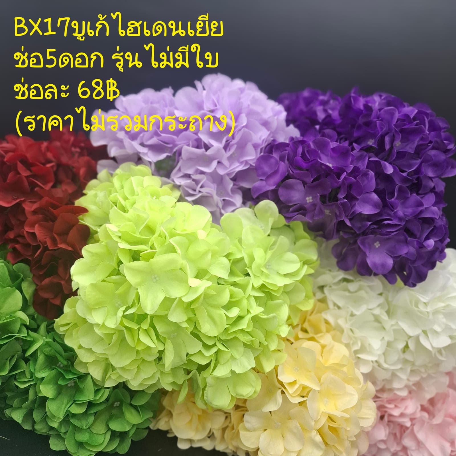 บูเก้ไฮเดนเยีย (BX17), A bouquet of hydrangea — tiny florets clustered into a full, hand-sized globe.