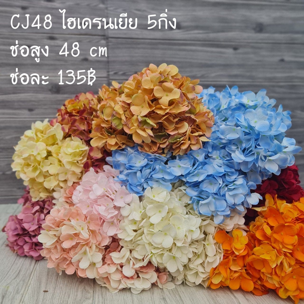 ไฮเดรนเยีย 5กิ่ง (CJ48), Hydrangea (5 branches) — an oversized head with graduated colour, often used to set composition mass.