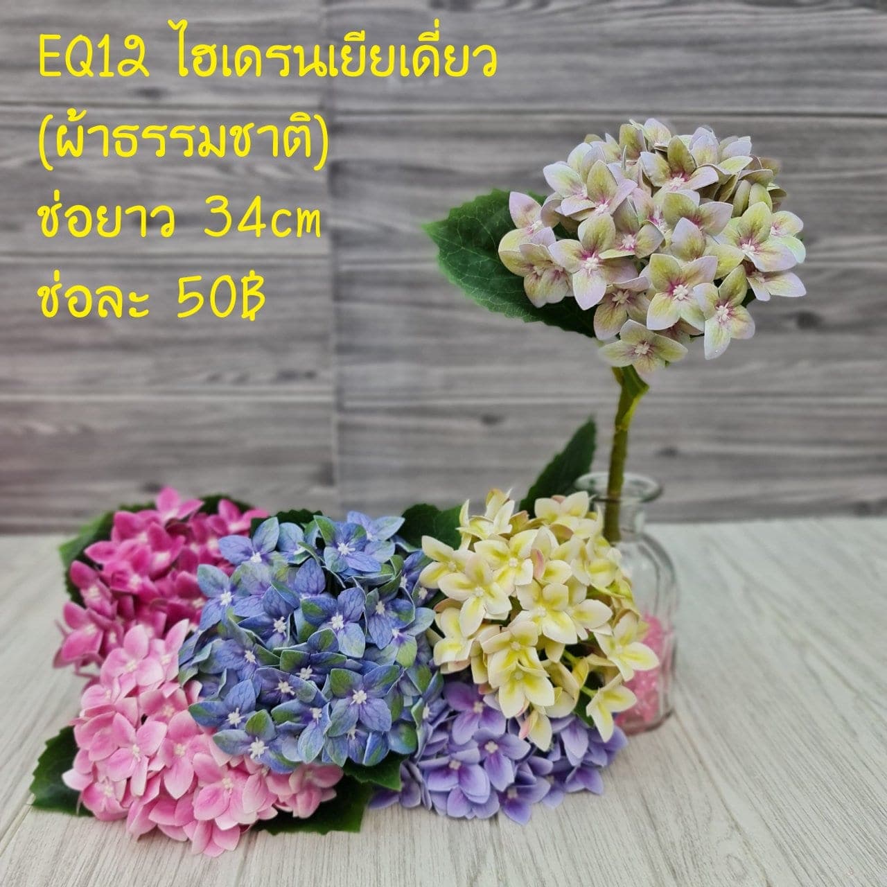 ไฮเดนเยียเดี่ยว (EQ12), A single-stem hydrangea — an oversized head with graduated colour, often used to set composition mass.
