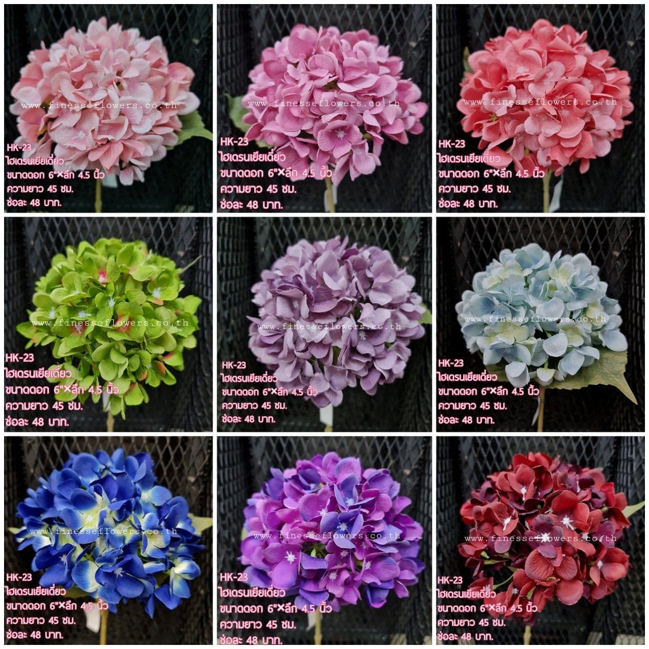ไฮเดรนเยีย (HK23), Hydrangea — tiny florets clustered into a full, hand-sized globe.