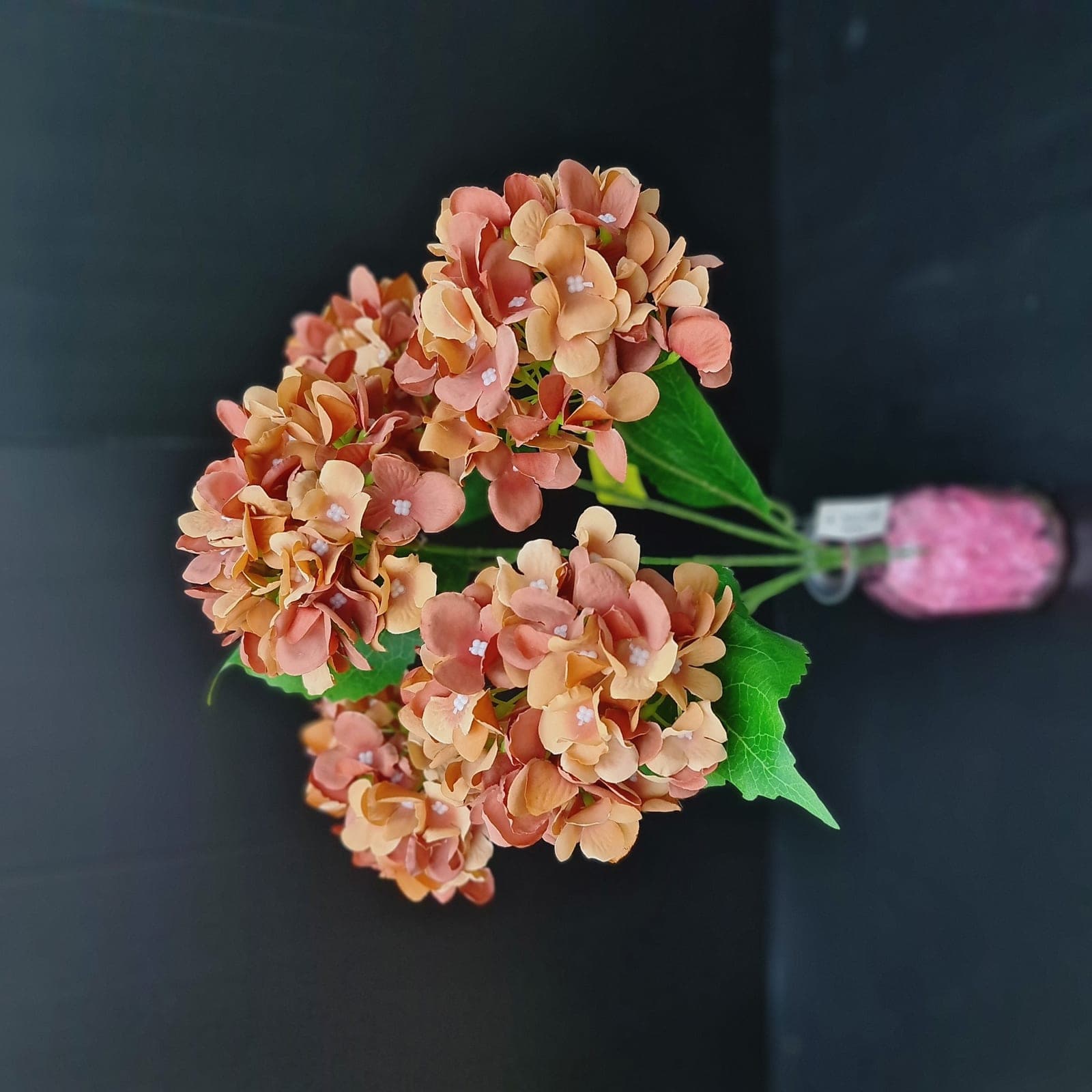 ไฮเดนเยีย 5ดอก (HK53), Hydrangea (5 blooms) — an oversized head with graduated colour, often used to set composition mass.