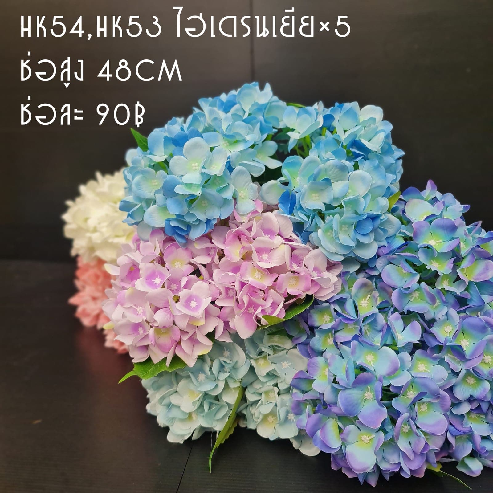 ไฮเดนเยีย (HK53,54), Hydrangea — tiny florets clustered into a full, hand-sized globe.