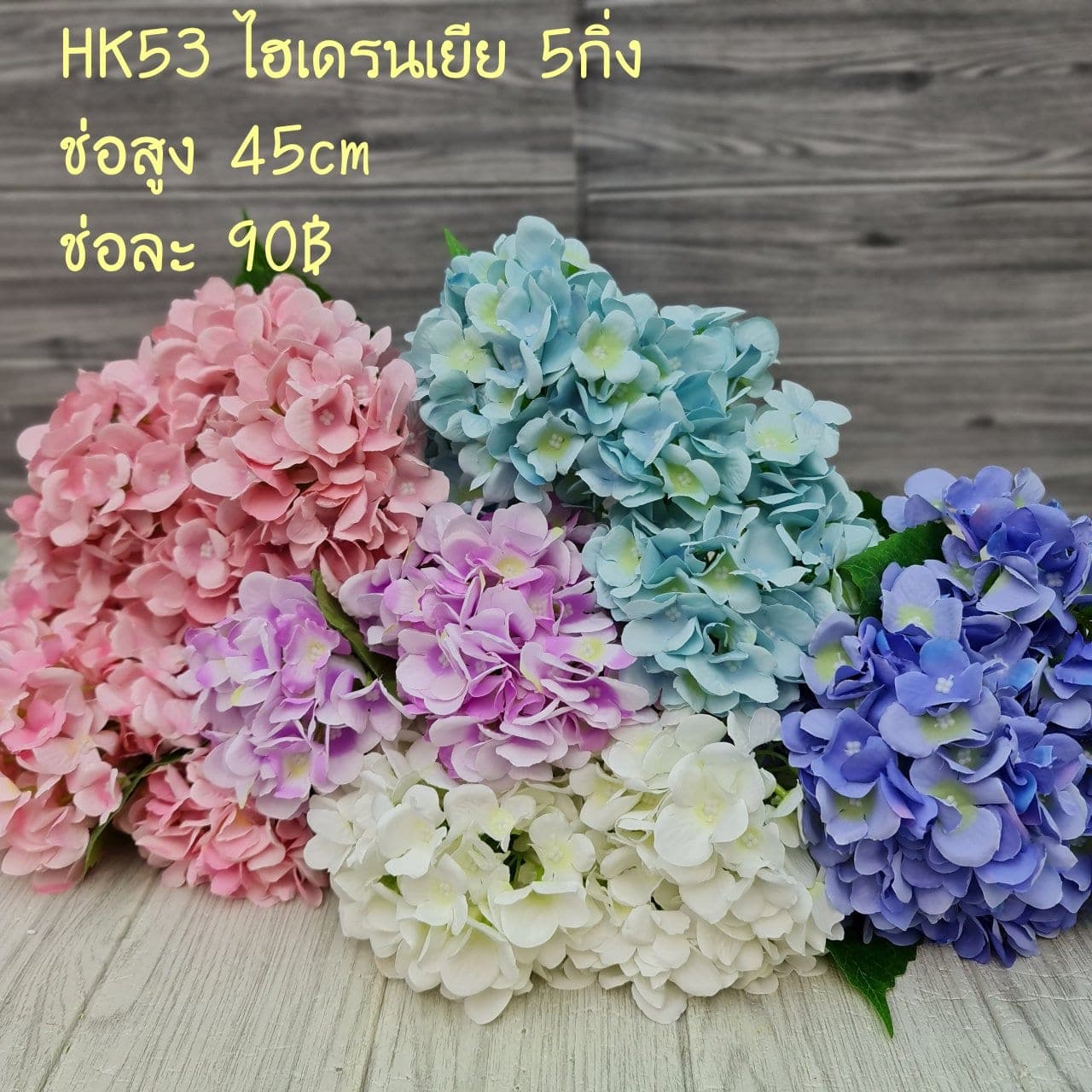 ไฮเดนเยีย (HK53,HK54), Hydrangea — an oversized head with graduated colour, often used to set composition mass.