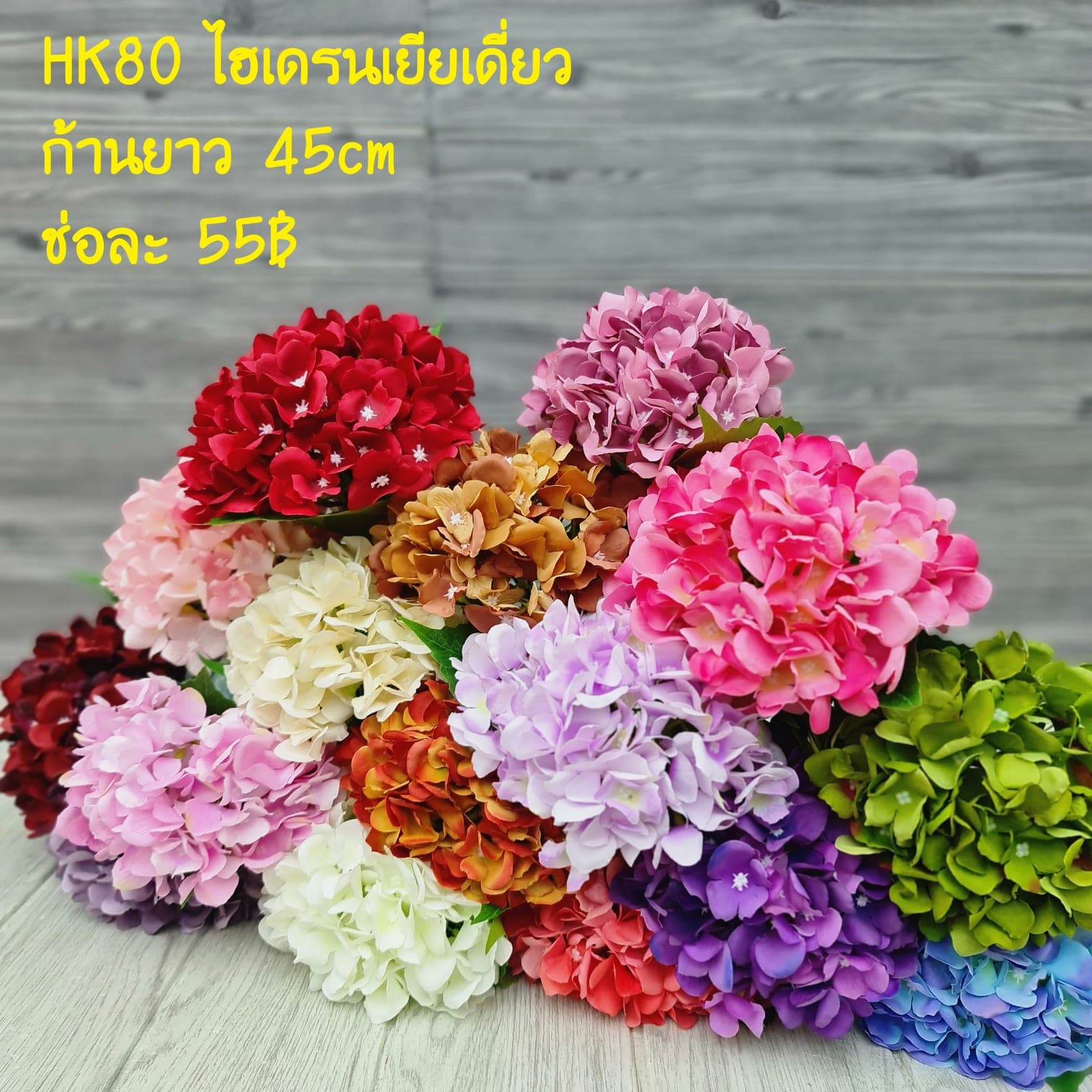 ไฮเดนเยียเดี่ยว (HK80), A single-stem hydrangea — an oversized head with graduated colour, often used to set composition mass.