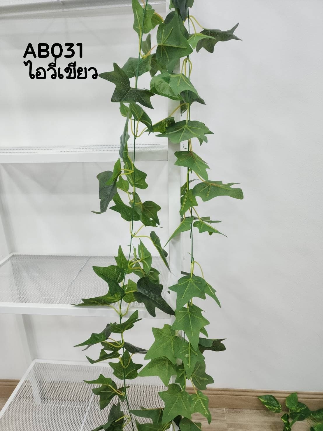 ใบเลื้อย (AB03), Ivy — trailing vines with small leaves, set to spill from a shelf or rim.