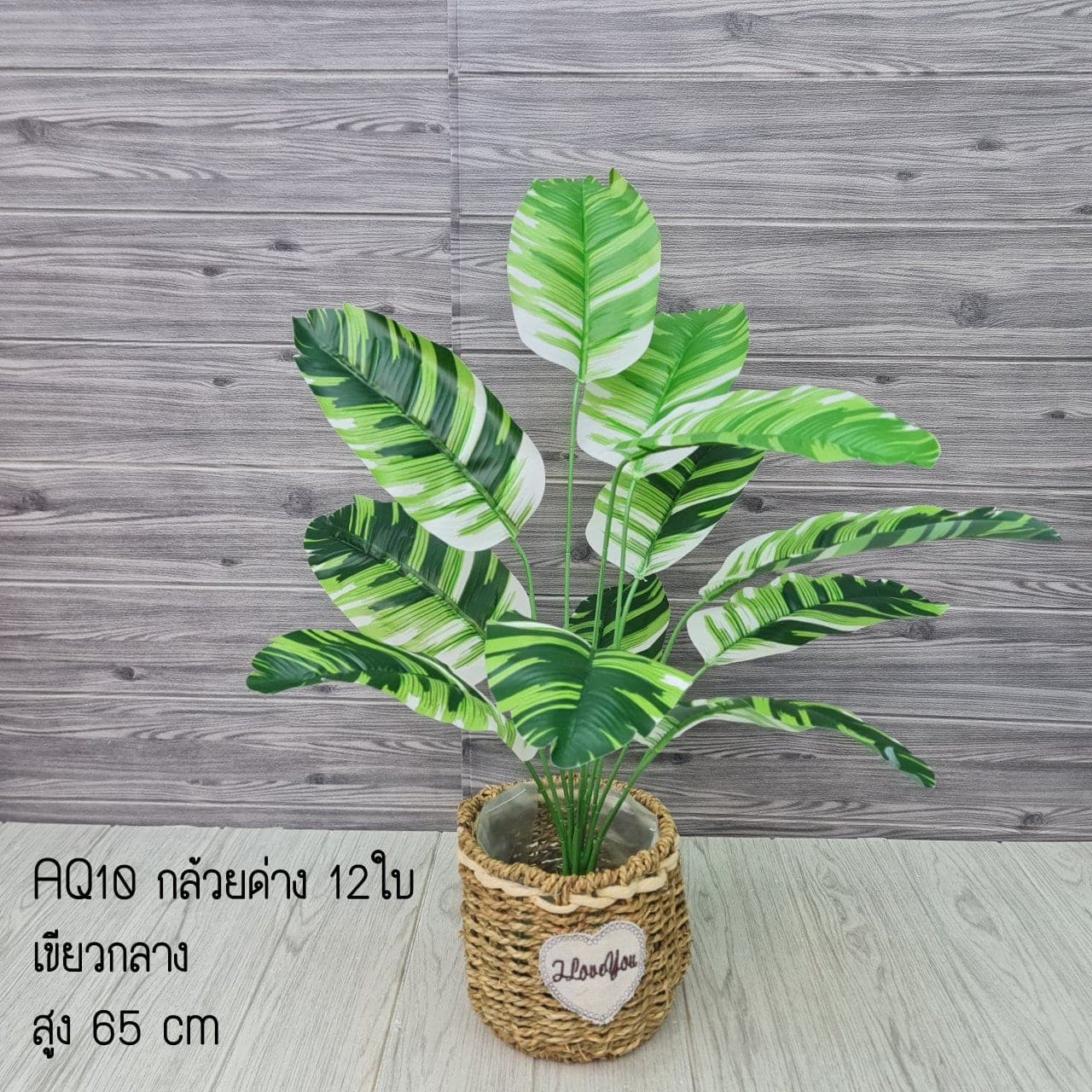 กล้วยด่าง12 มีราก (AQ10,11,12), Foliage — leaf and branch material that shapes and balances a floral mass.