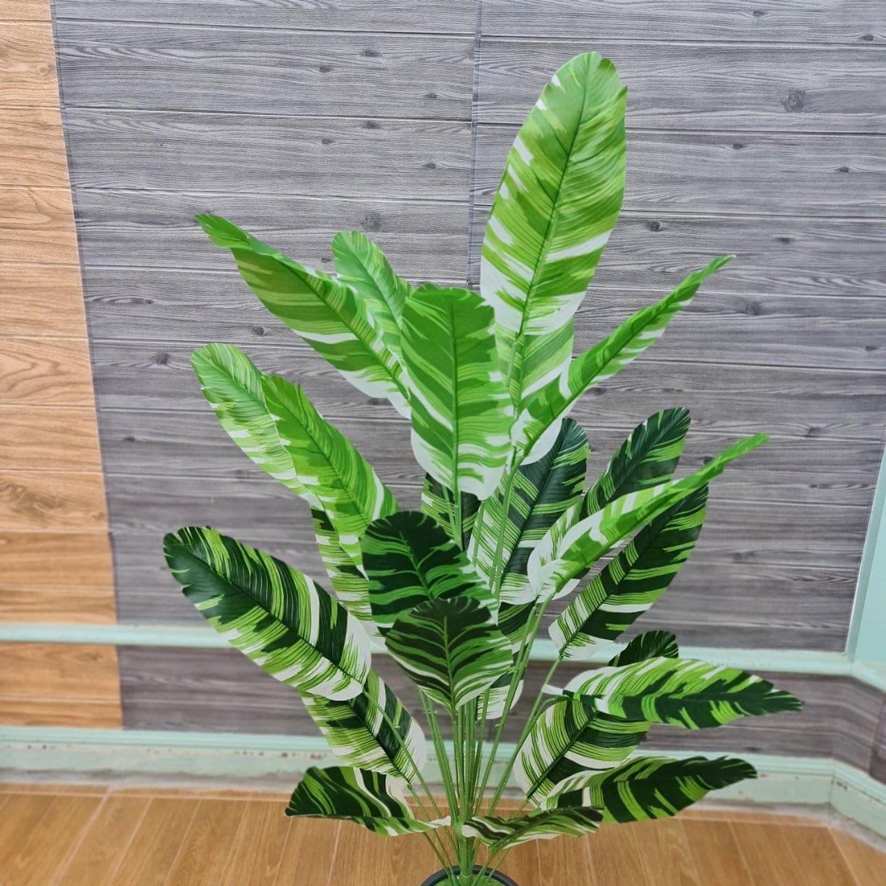กล้วยด่าง 24ใบ (AQ47), Foliage (24 leaves) — leaf material that lends weight and texture along the rim of a vessel.