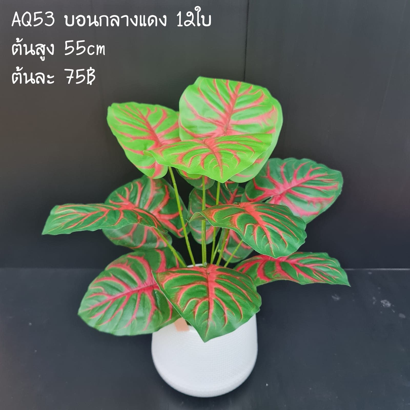บอนกลางแดง (AQ53), Foliage — leaf and branch material that shapes and balances a floral mass.