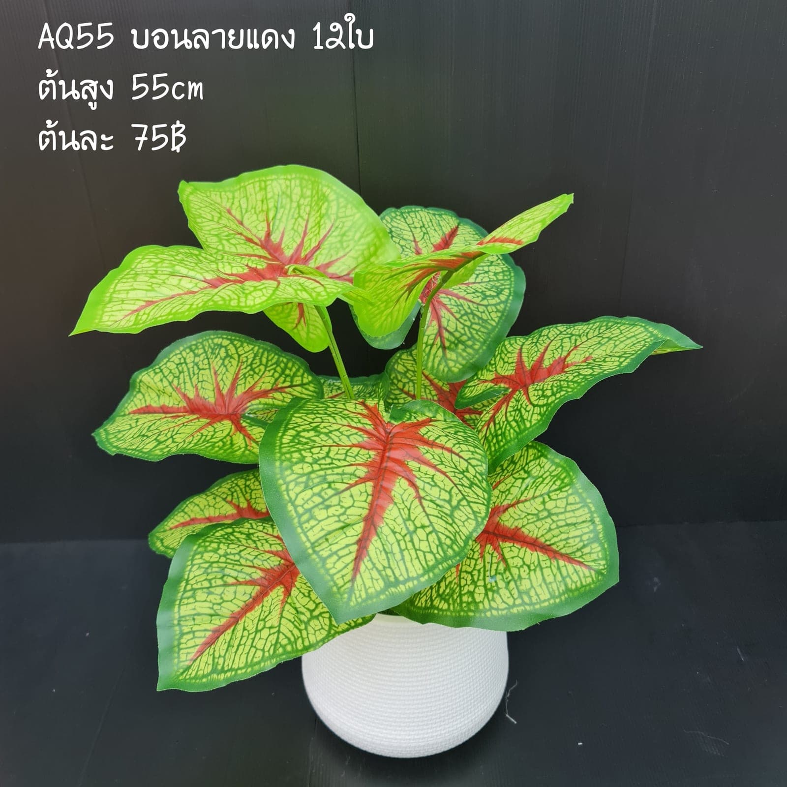 บอนลายแดง (AQ55), Foliage — leaf and branch material that shapes and balances a floral mass.