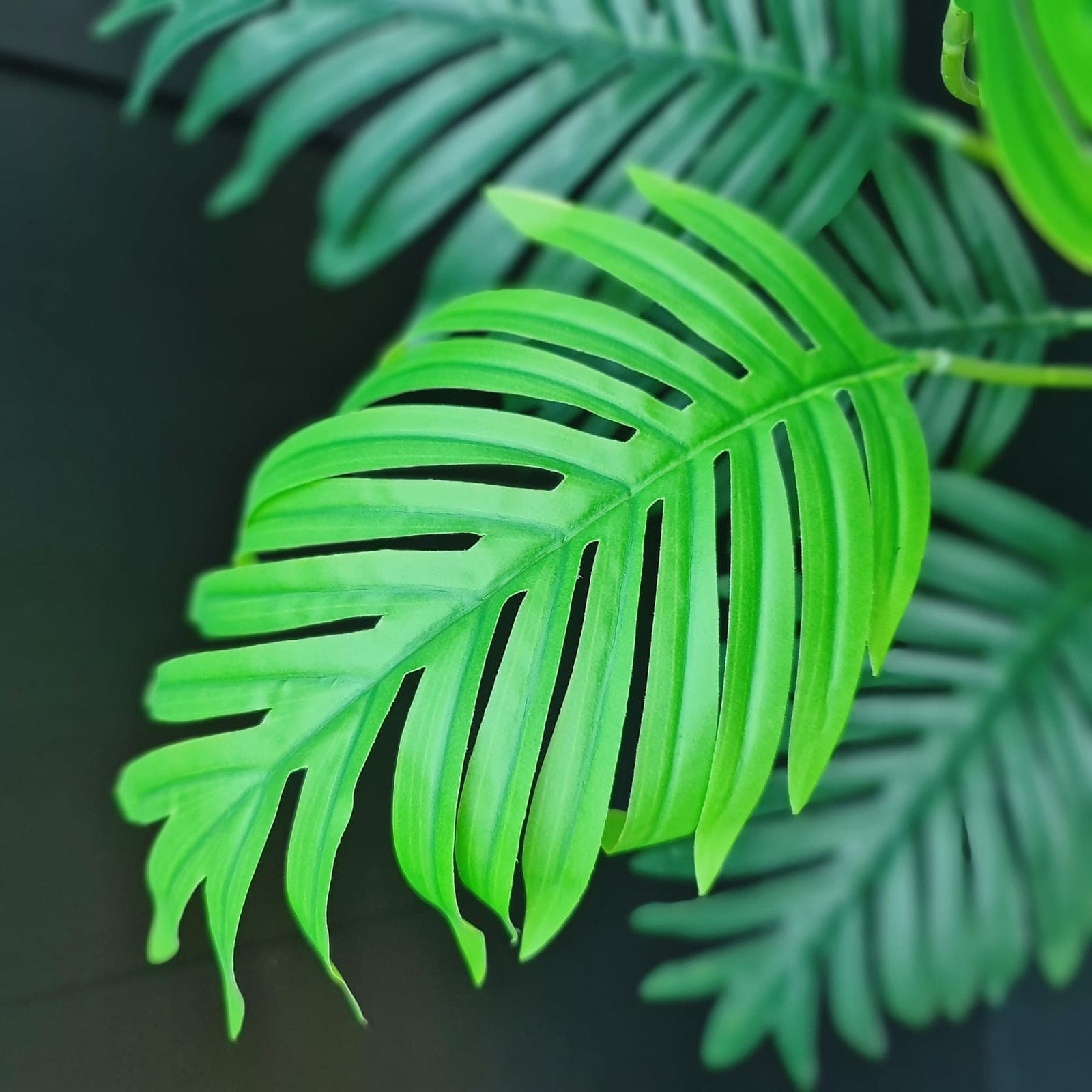 ใบหมาก (AQ59), Foliage — green foliage that balances mass and grounds the focal flowers.