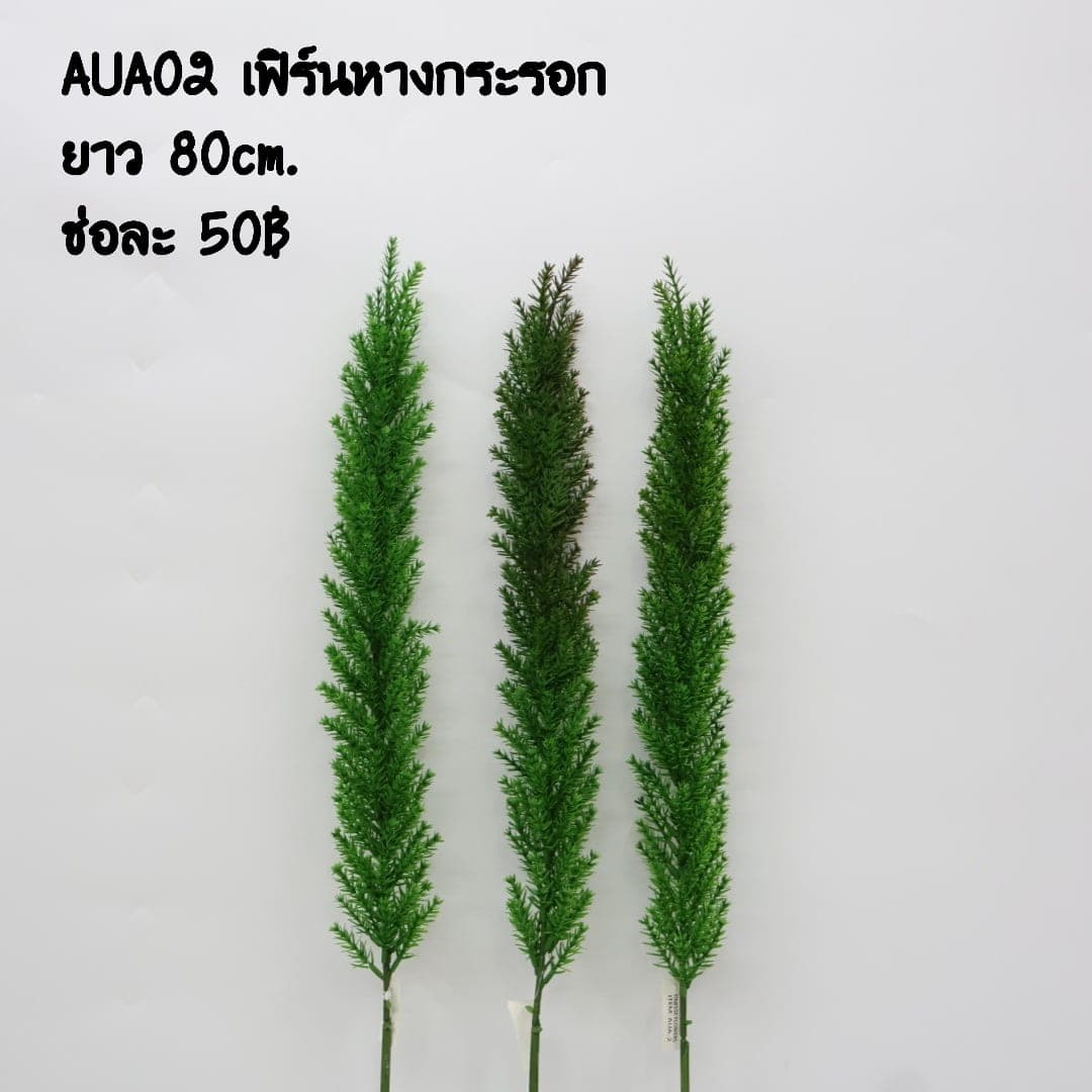 เฟิร์นหางกระรอก (AUA02), Fern — long stems with trailing pinnae, ideal for draping over the rim of a vessel.