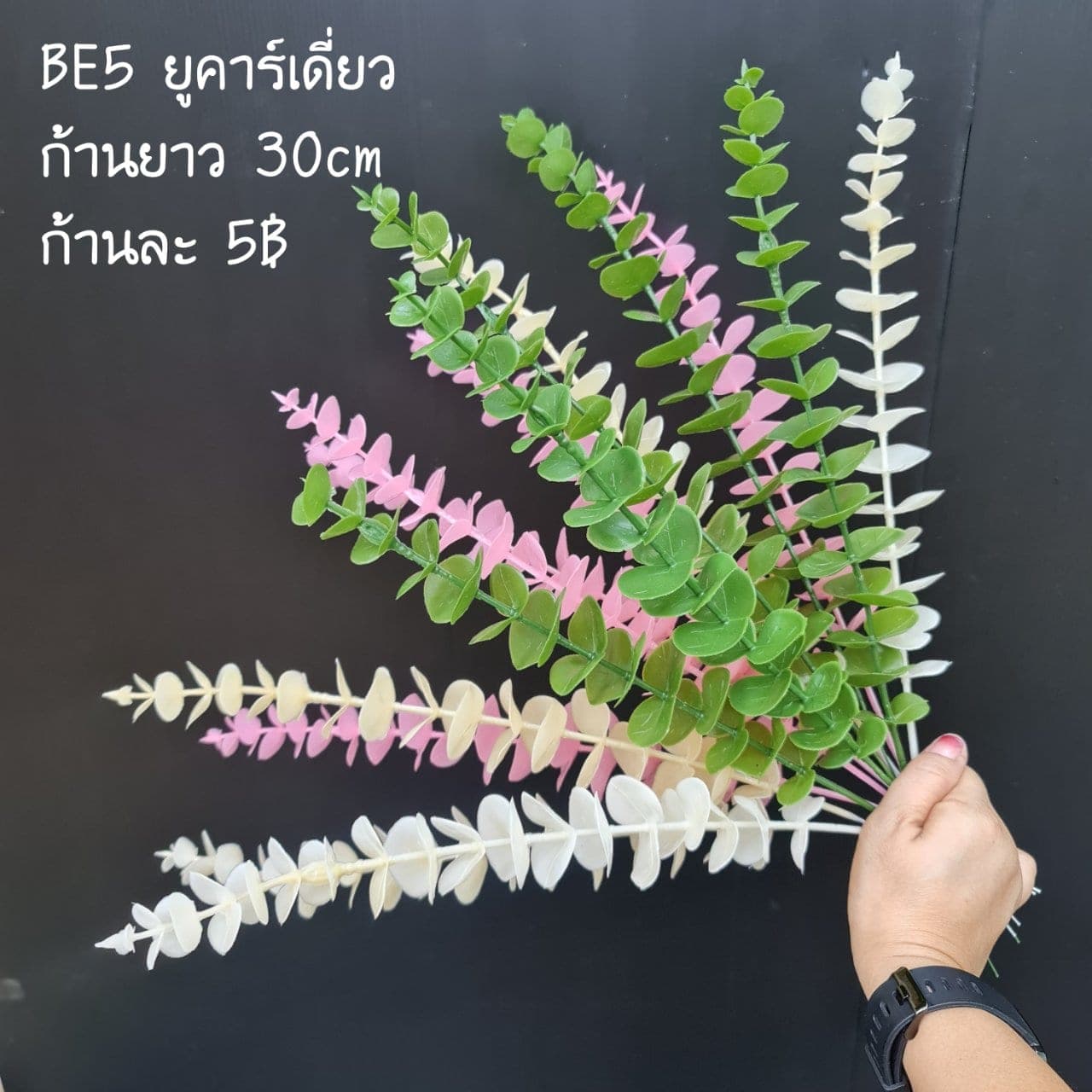 ยูคาร์เดี่ยว (BE5), A single-stem foliage — leaf and branch material that shapes and balances a floral mass.