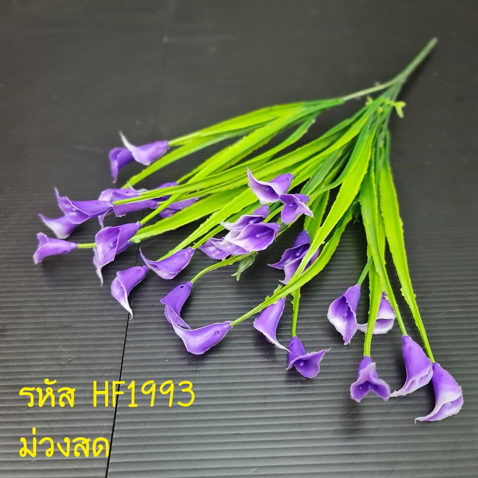 คาร่าจิ๋ว (HF199), Lily — a sharp line and trumpet form, ready to act as a focal stem.