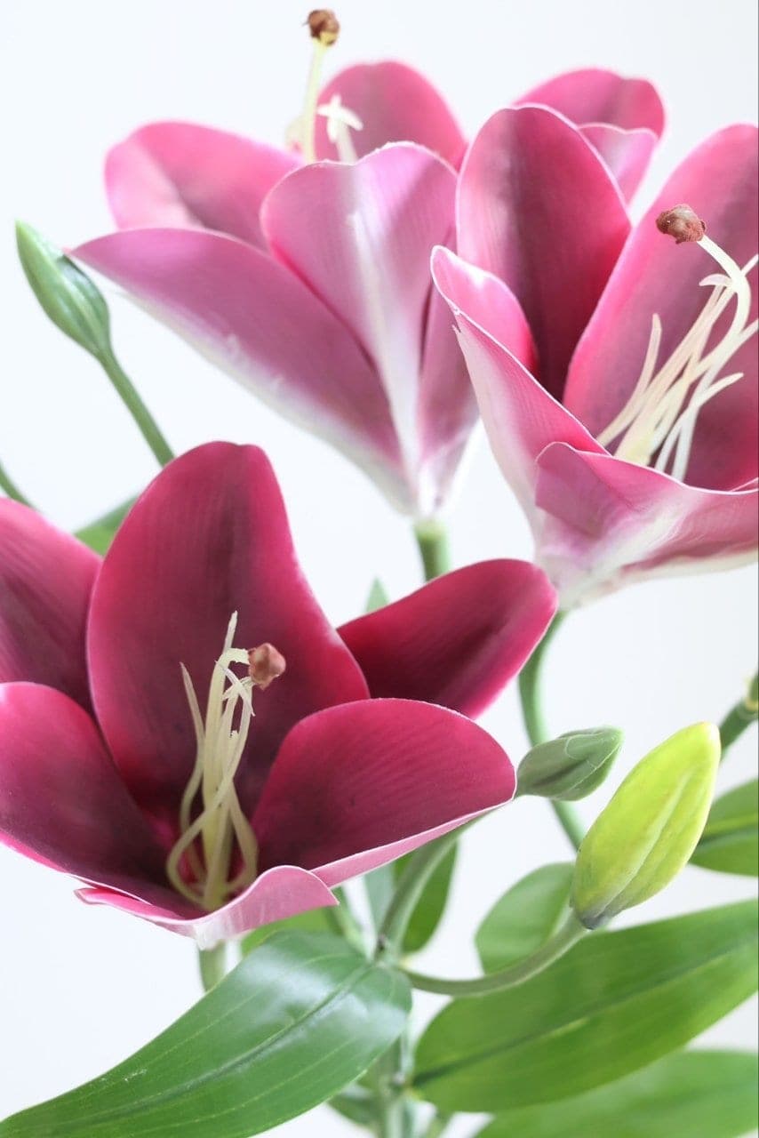 ลิลลี่ (LC11), Lily — buds and open blooms staggered along a single stem for movement.