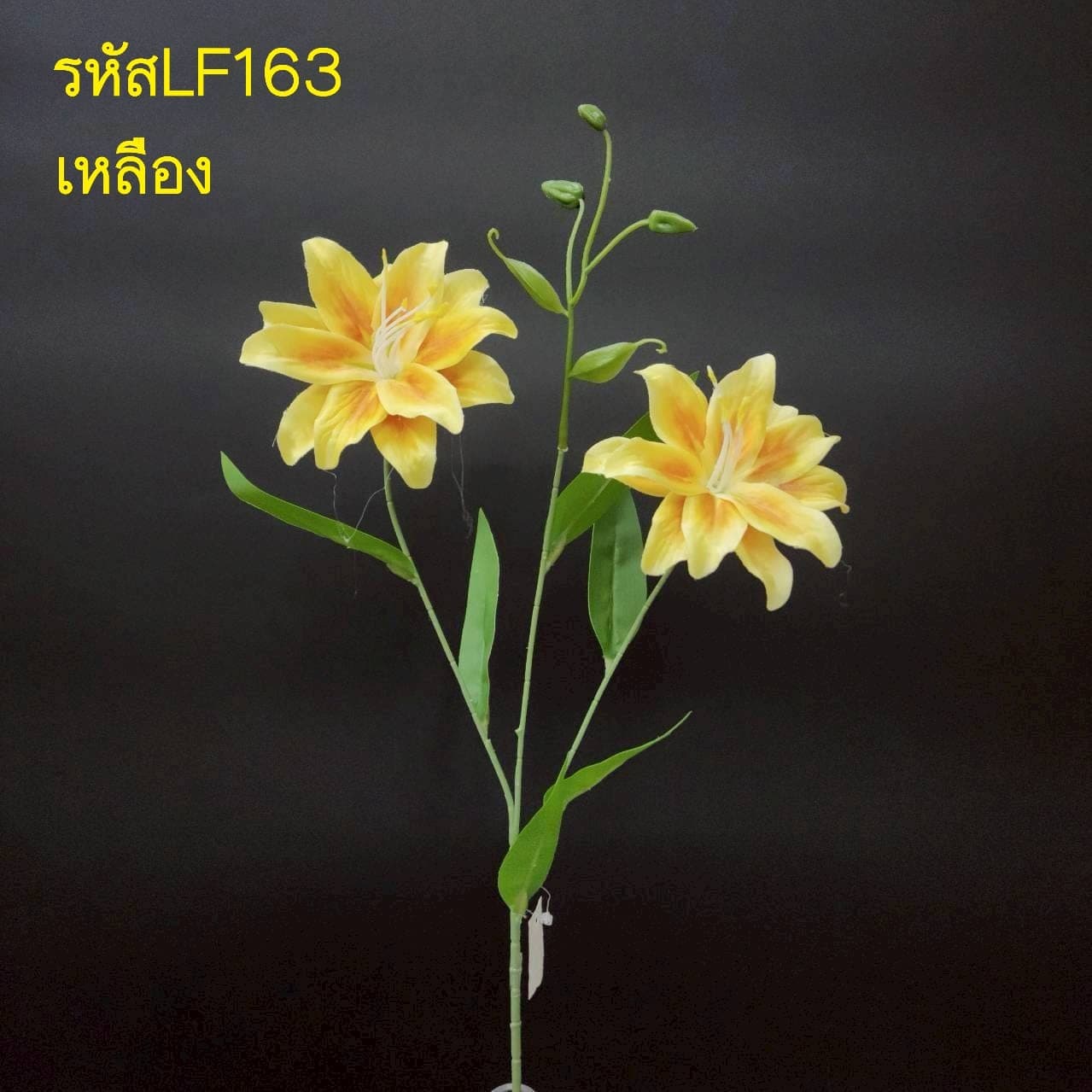 ลิลลี่ซ้อน 2ดอก (LF16), Lily (2 blooms) — arched petals and elongated stamens carve a sharp silhouette.