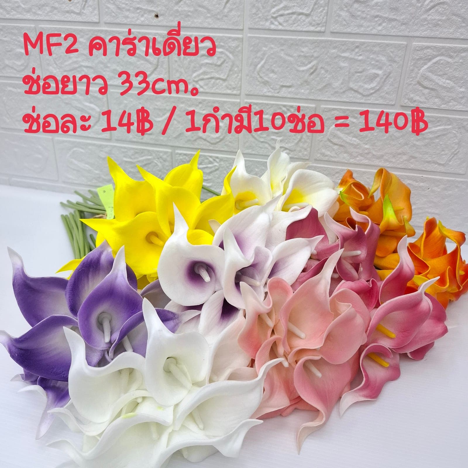 คาร่าเดี่ยว (MF02), A single-stem lily — a sharp line and trumpet form, ready to act as a focal stem.