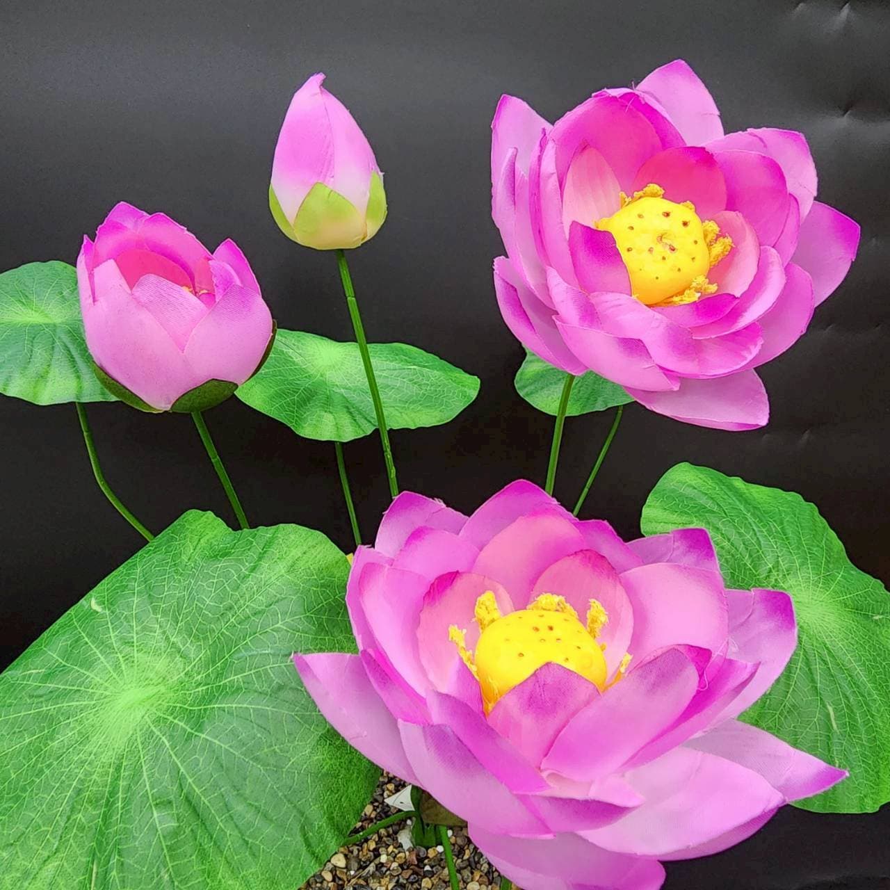 บูเก้บัวหลวงเล็ก (AAA04), A bouquet of lotus — a cup-form bloom that floats with weight in a tall vessel.