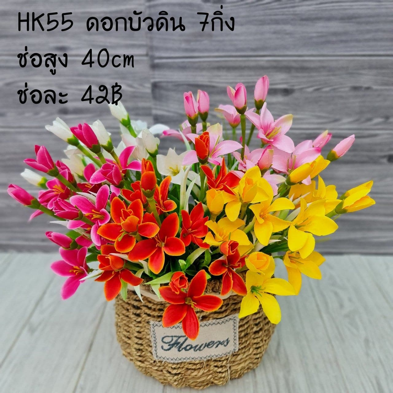 บัวดิน (HK55), Lotus — an open, soft-petalled form with a quiet, balanced rhythm.