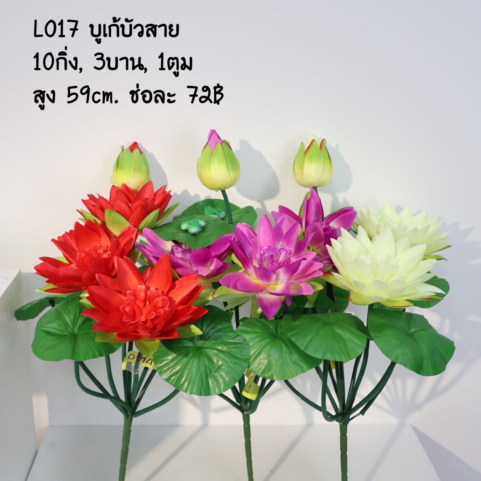 บูเก้บัวสาย (LO17)