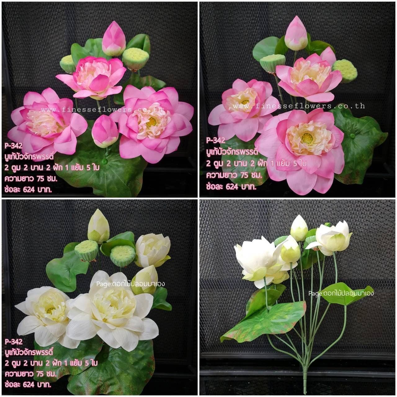 บัวจักรพรรดิ์ (P-342), Lotus — an open, soft-petalled form with a quiet, balanced rhythm.