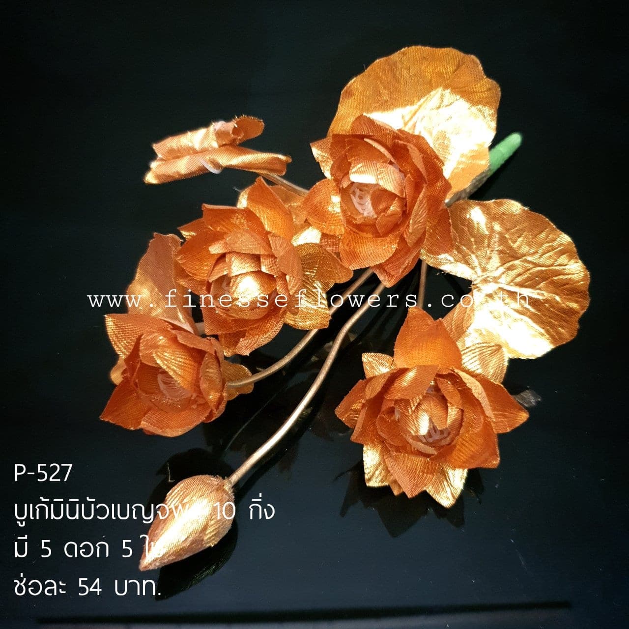 มินิบัวเบญจพร (P-527), Lotus — an open, soft-petalled form with a quiet, balanced rhythm.