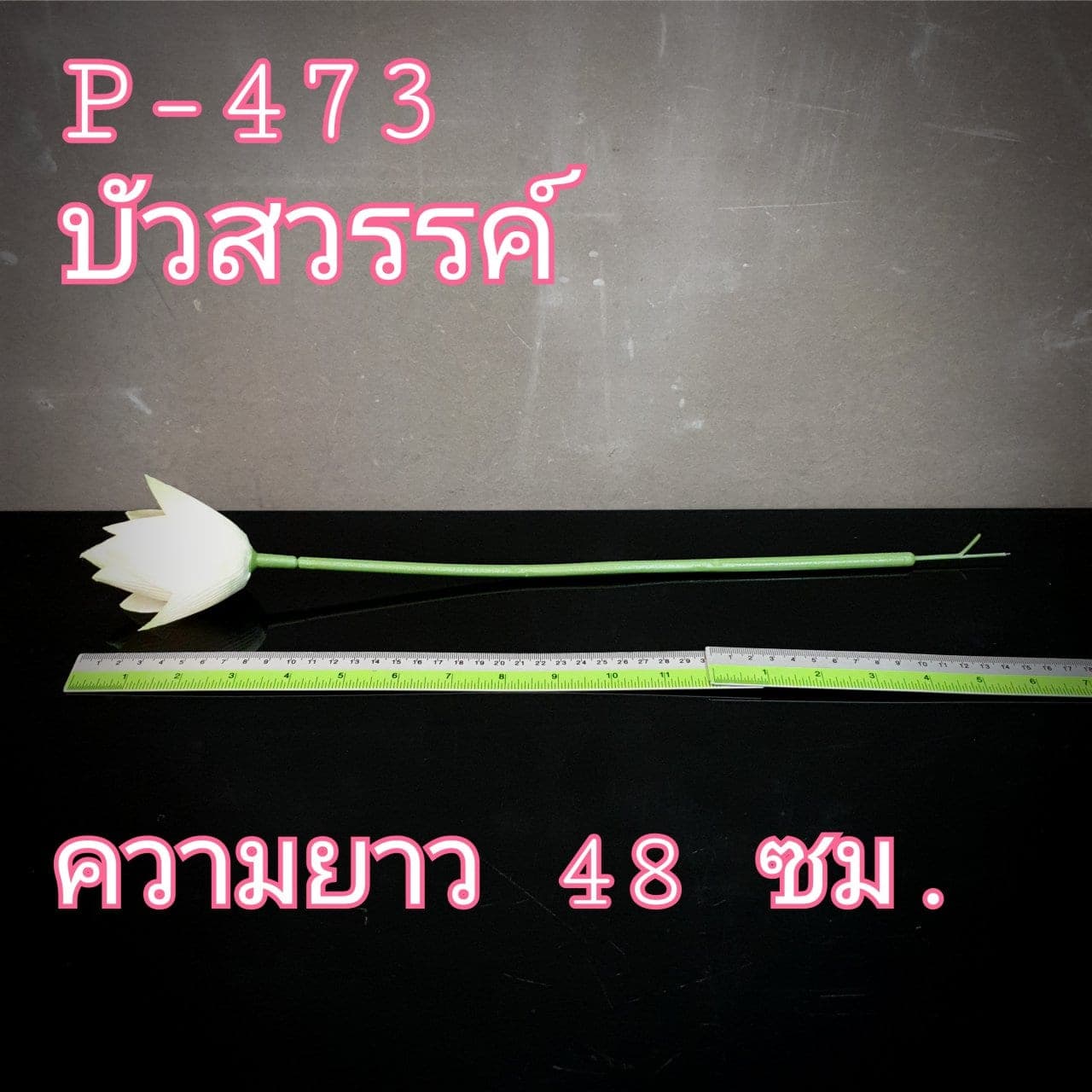 บัวสวรรค์ (P473), Lotus — an open, soft-petalled form with a quiet, balanced rhythm.
