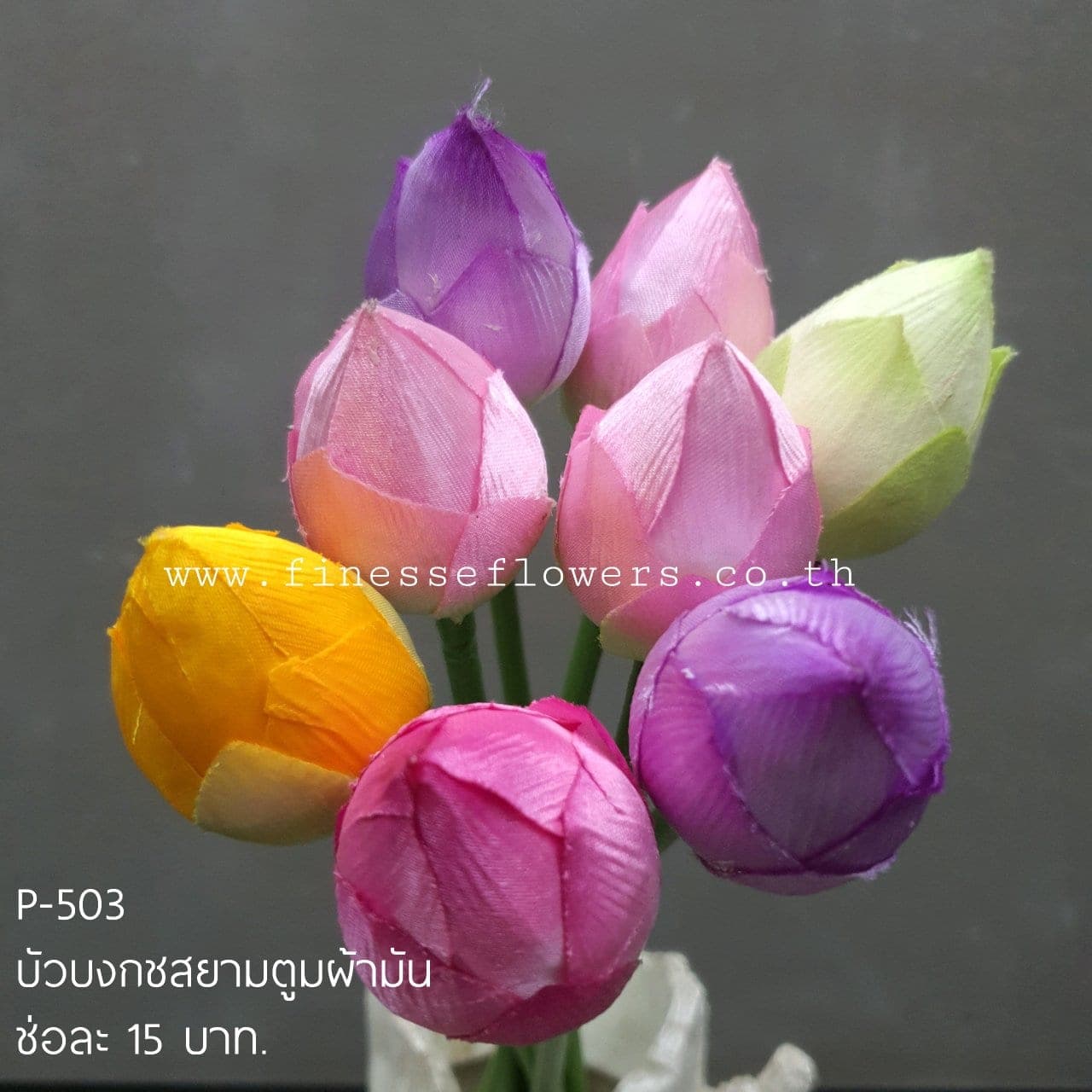 บัวบงกชตูม (P503-2)