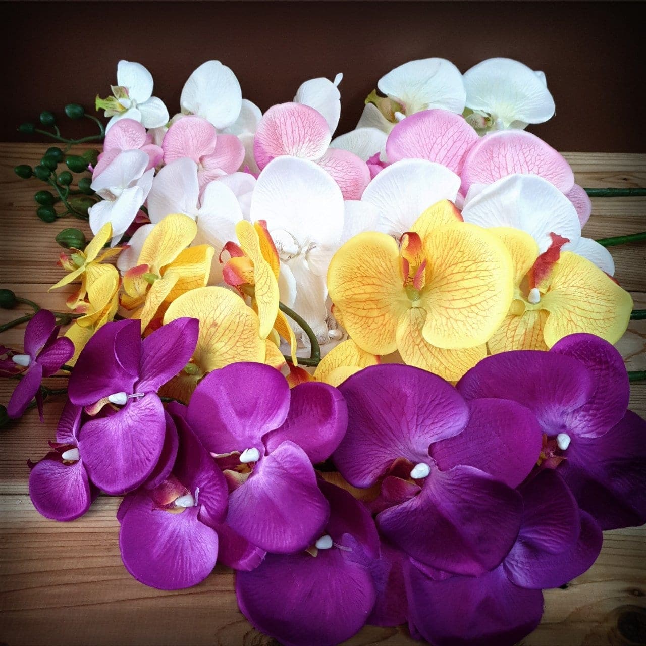 กล้วยไม้ฟาแลนด์ (AC02), Phalaenopsis orchid — a long, swaying stem with evenly spaced flowers from base to tip.