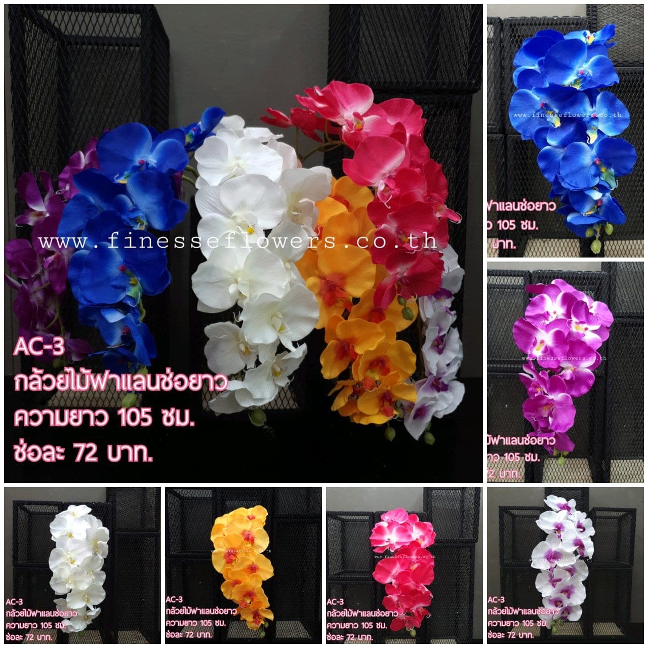 ฟาแลน (AC03), Phalaenopsis orchid — blooms strung along an arched stem for architectural balance.