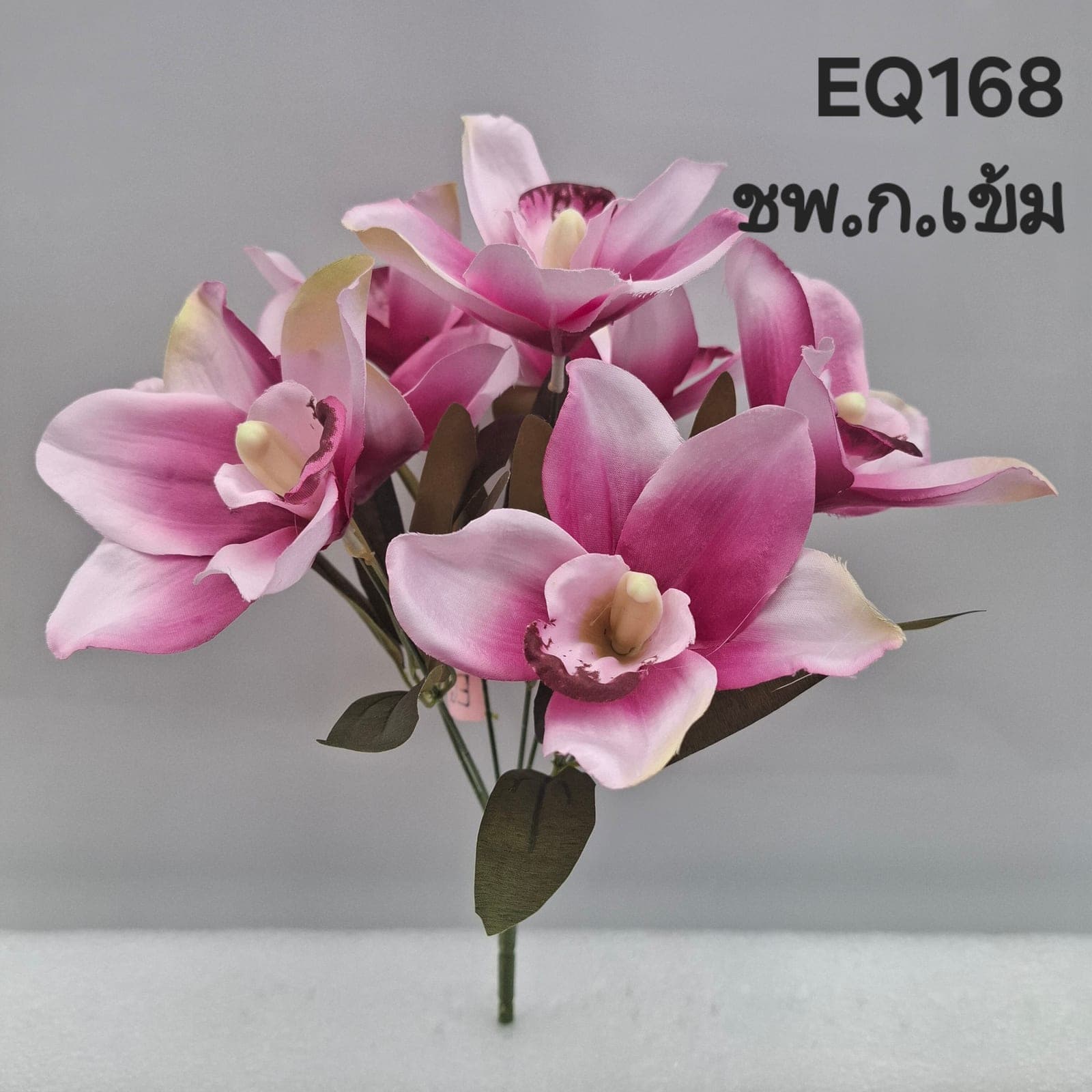 บูเก้ซิมบิเดียม (EQ16-2)
