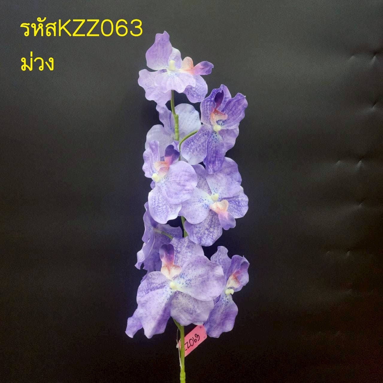 กล้วยไม้ฟ้ามุ่ย 9ดอก (KZZ6), Orchid (9 blooms) — an arched spray with wax-thin petals for floating, architectural lines.