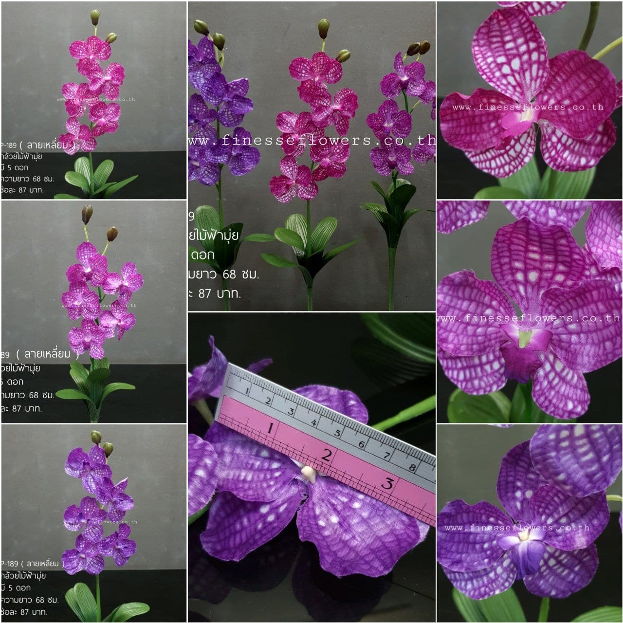 กล้วยไม้ฟ้ามุ่ย (P189), Orchid — an arched spray with wax-thin petals for floating, architectural lines.