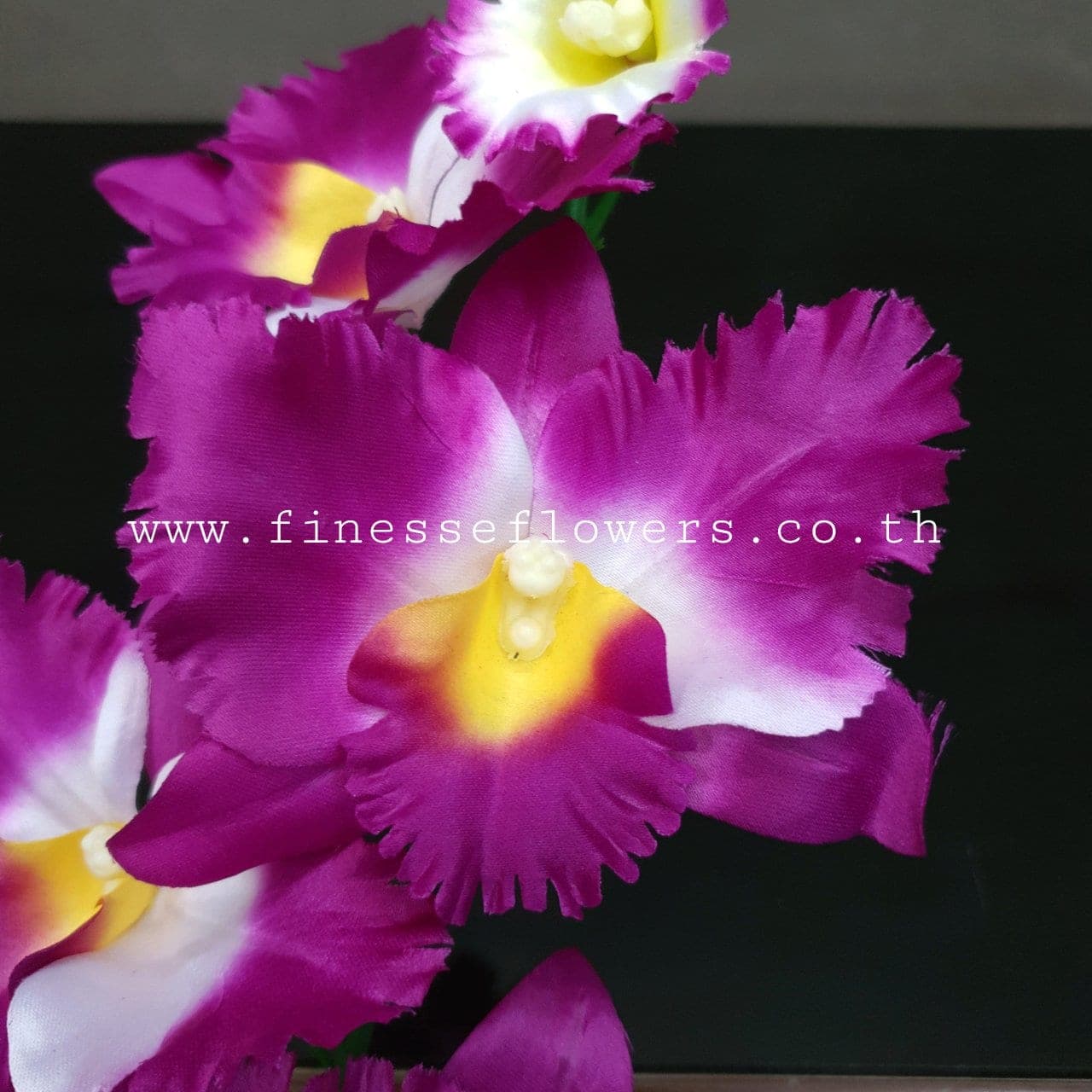 แคทลียาช่อยาว (P251), Orchid — an arched spray with wax-thin petals for floating, architectural lines.