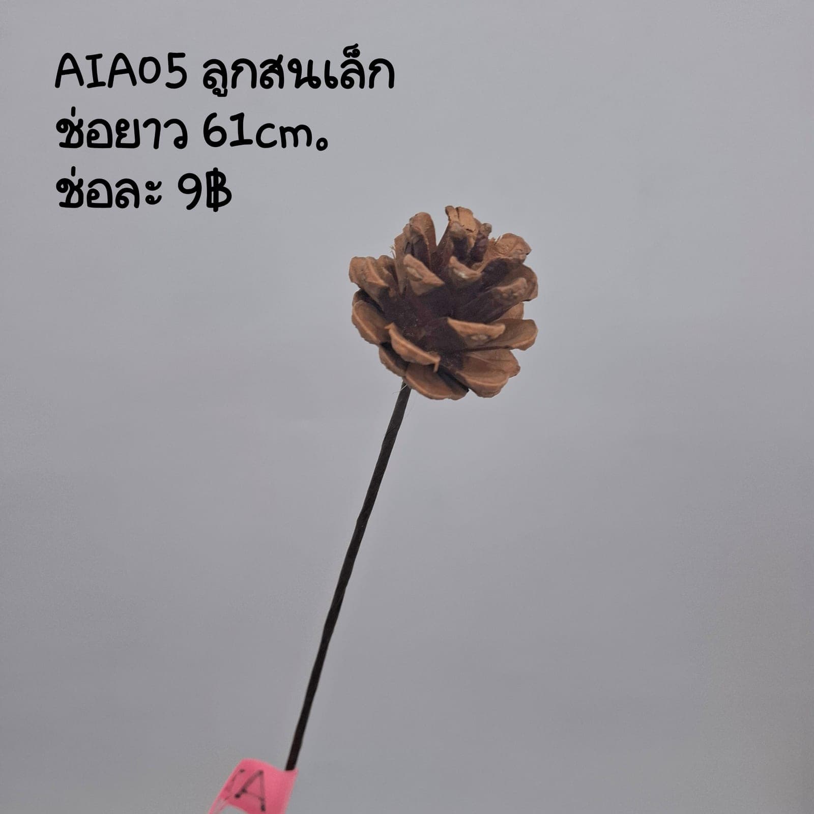 AIA05 (AIA05), Styling piece — an accent piece used to round out the overall styling.