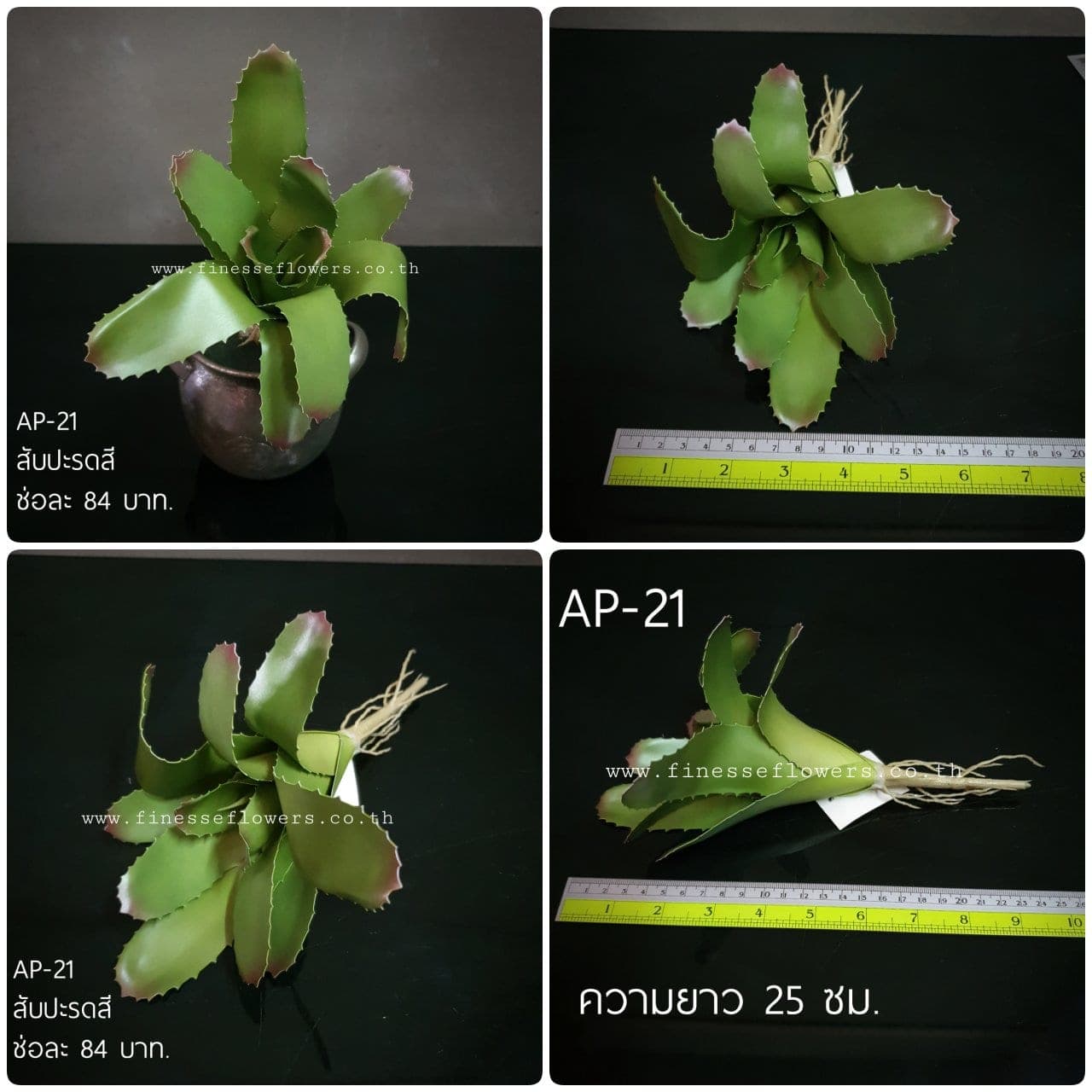 สับปะรดสี (AP21), Potted houseplant — a fully formed plant ready to drop into a planter or sit in a corner.