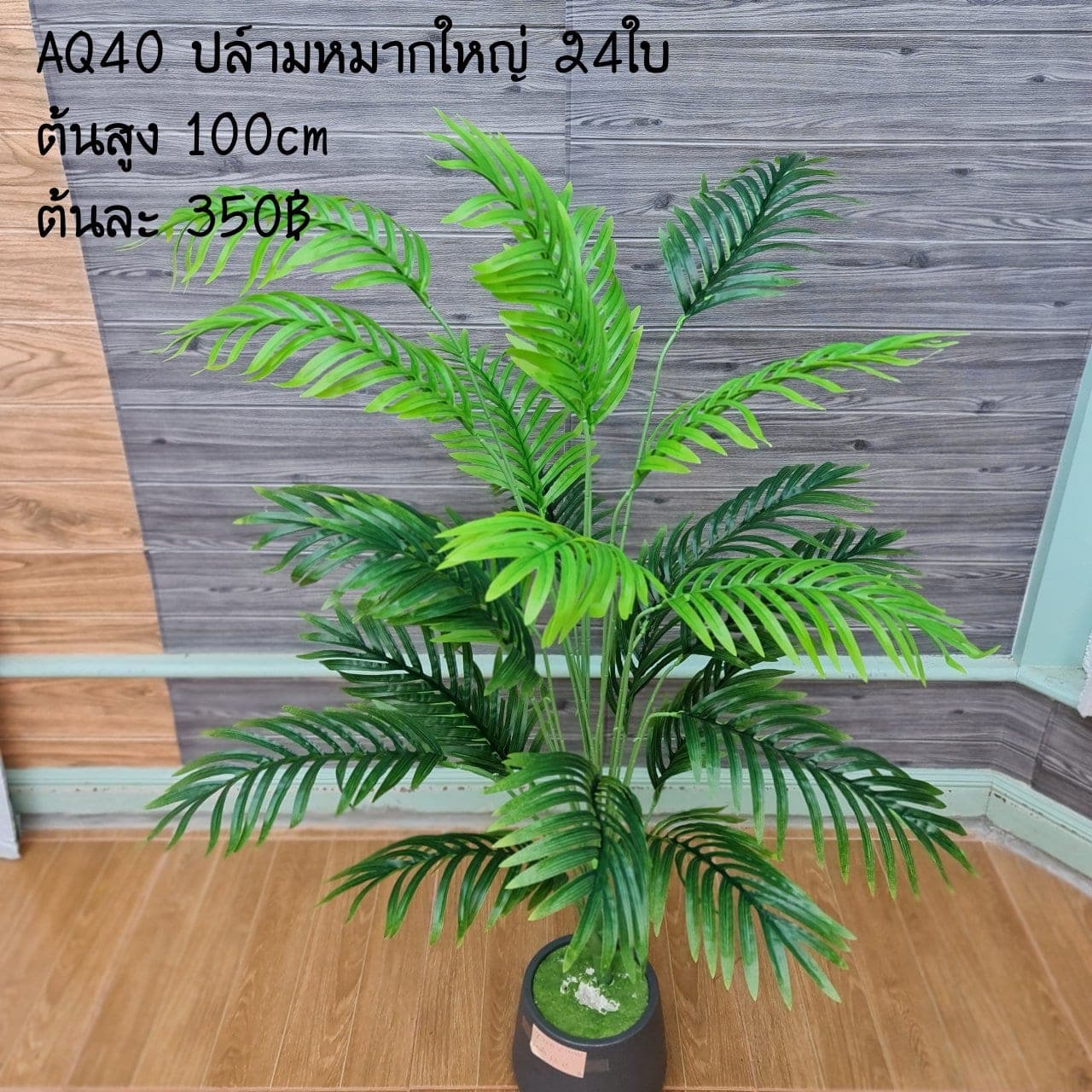 ปล์ามหมากใหญ่24ใบ (AQ40), Foliage (24 leaves) — green foliage that balances mass and grounds the focal flowers.