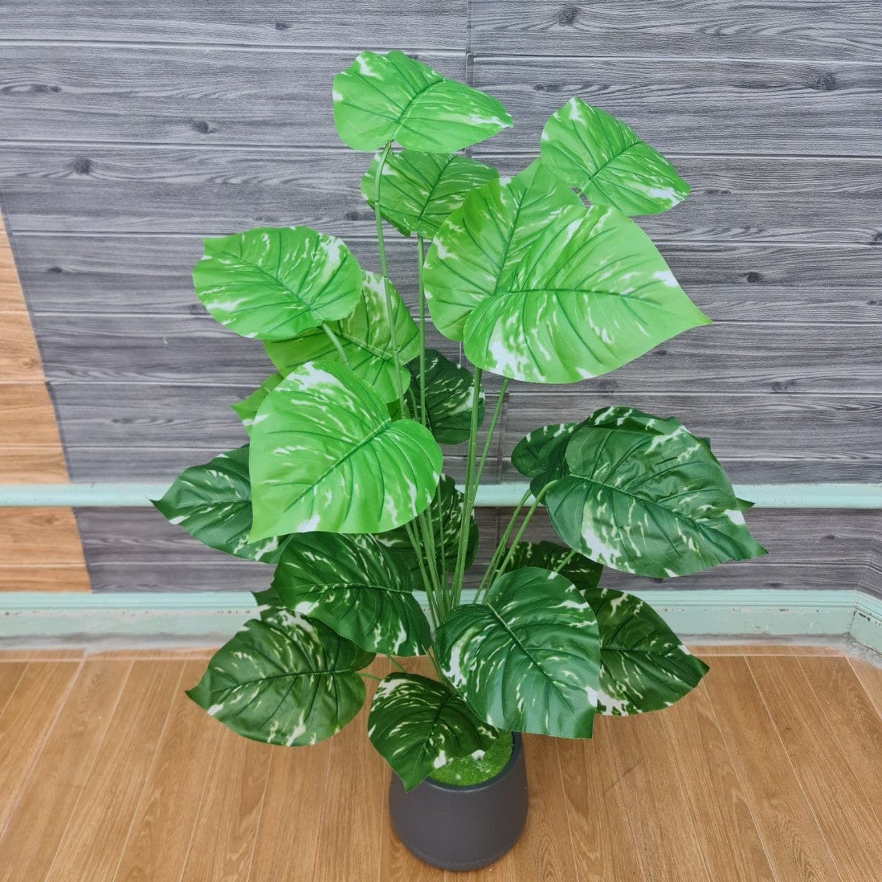 พลูด่าง 24ใบ (AQ42), Foliage (24 leaves) — green foliage that balances mass and grounds the focal flowers.