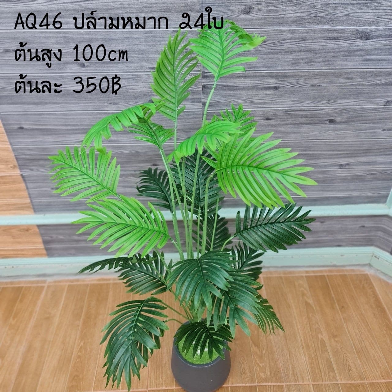 ปล์ามหมาก 24ใบ (AQ46), Foliage (24 leaves) — green foliage that balances mass and grounds the focal flowers.