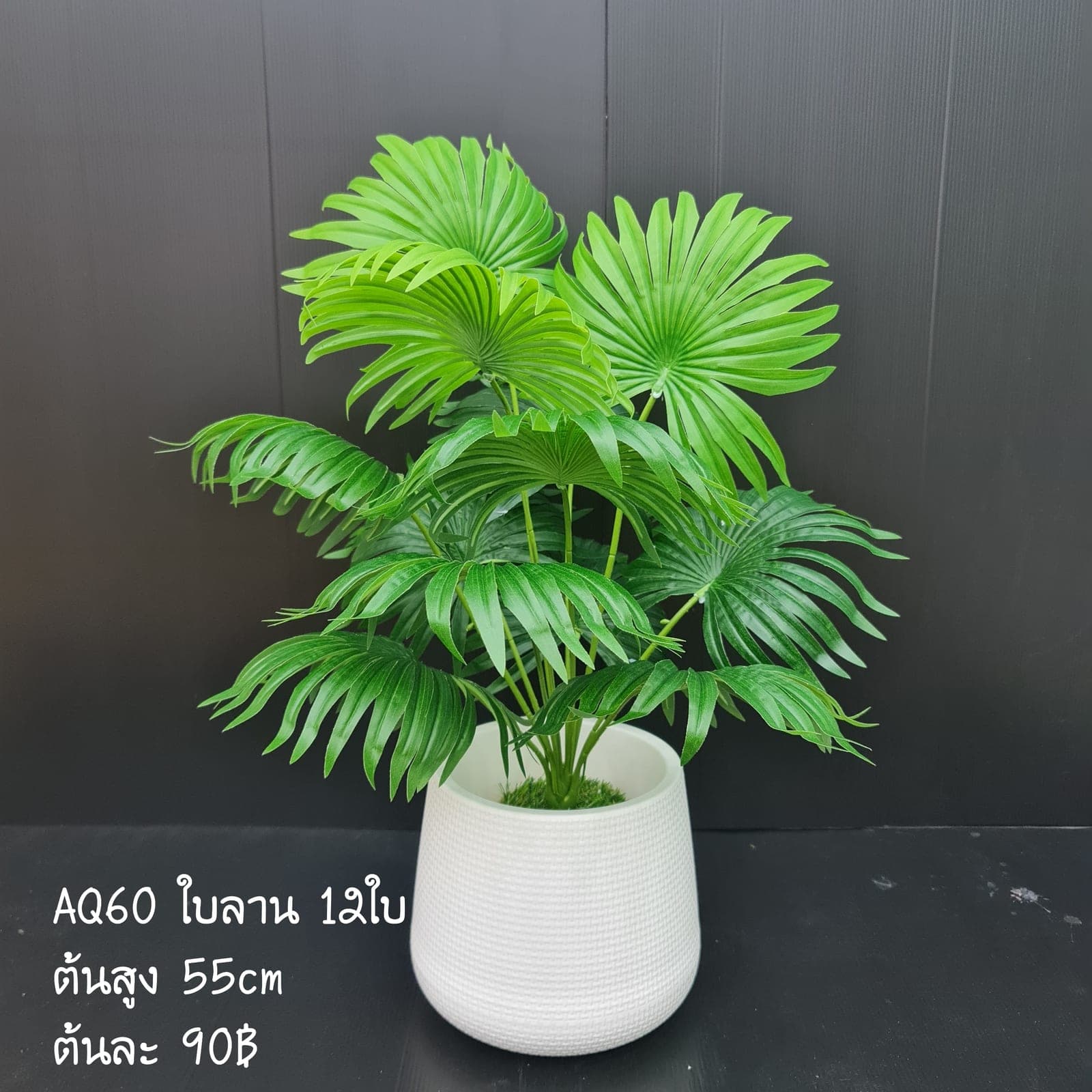 ต้นใบลาน (AQ60), Foliage — green foliage that balances mass and grounds the focal flowers.