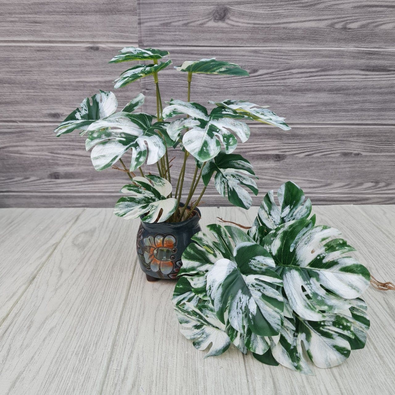 ฟิลโลด่างเล็ก (AW157), Potted houseplant — a fully formed plant ready to drop into a planter or sit in a corner.