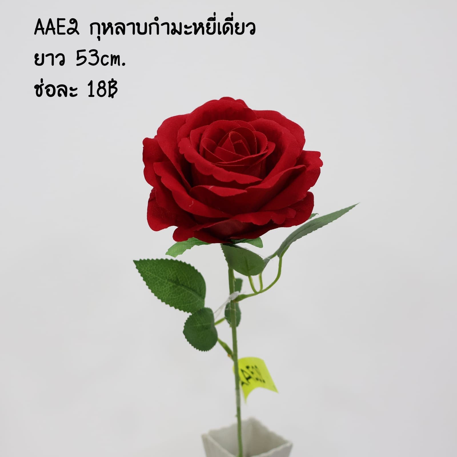 กุหลาบกำมะหยี่แยมเดี่ยว (AAE02)