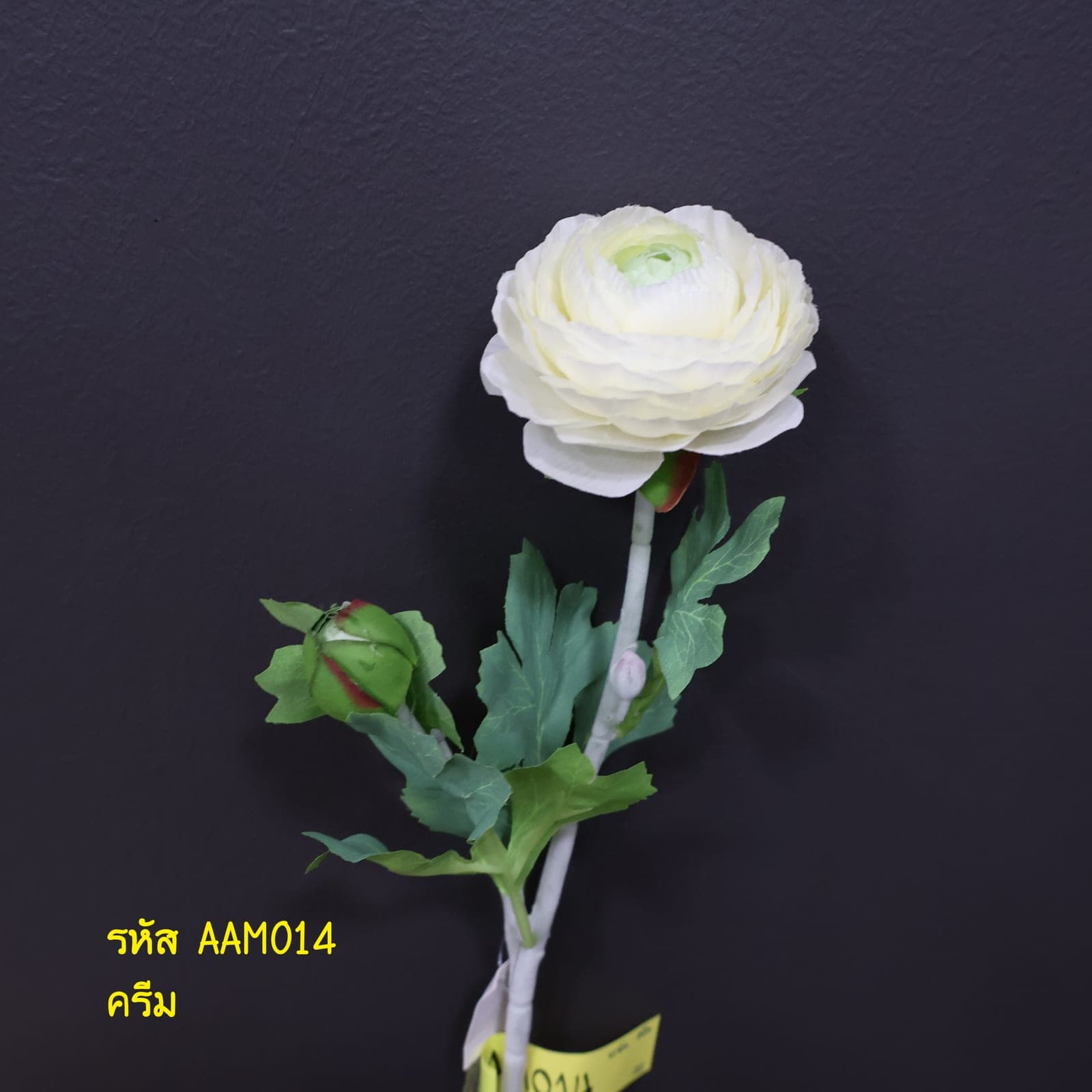 กุหลาบเรนัน 1บาน 1ตูม (AAM01)
