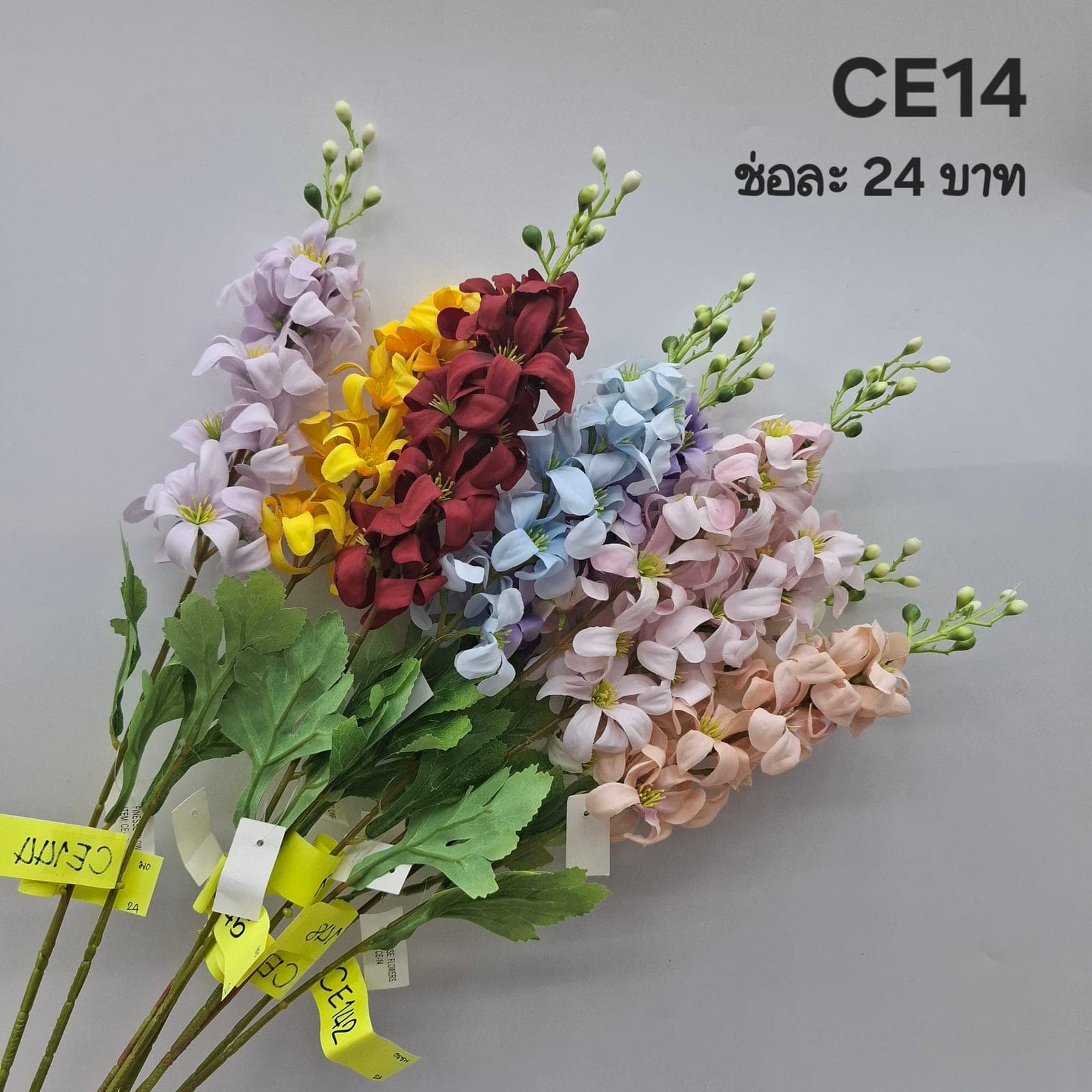 ไฮยาซินเดี่ยว (CE14), A single-stem hyacinth — a fleshy stem packed with starry florets in a single column.