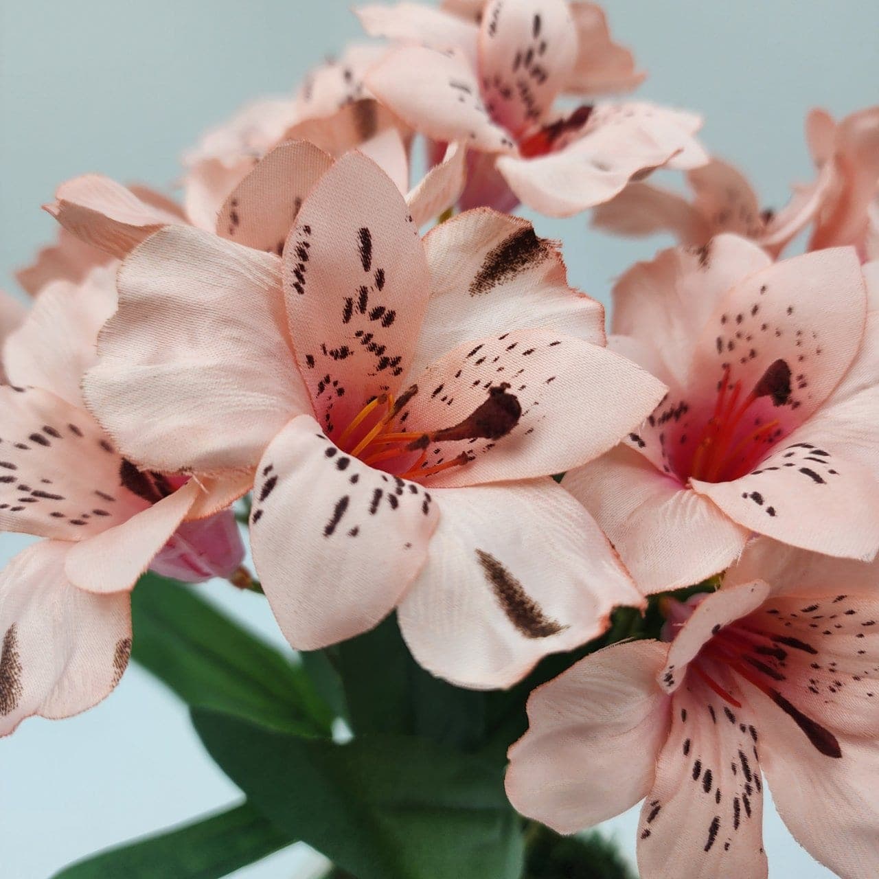ฟรีเซีย (EQ30), Freesia — blooms arching off a slender stem in a delicate sweep.