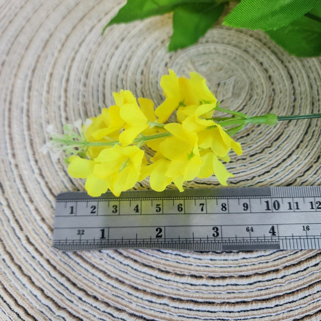 ไฮยาซิน (LD6), Hyacinth — a fleshy stem packed with starry florets in a single column.
