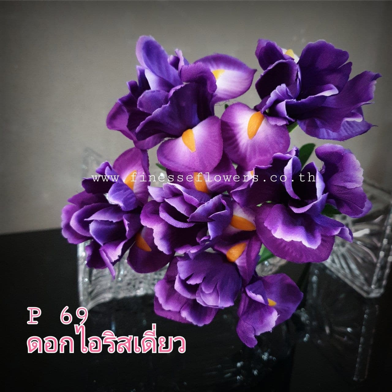 ไอริสเดี่ยว (P-69), A single-stem iris — wing-like petals on a tall stem for a sharp, drawn line.